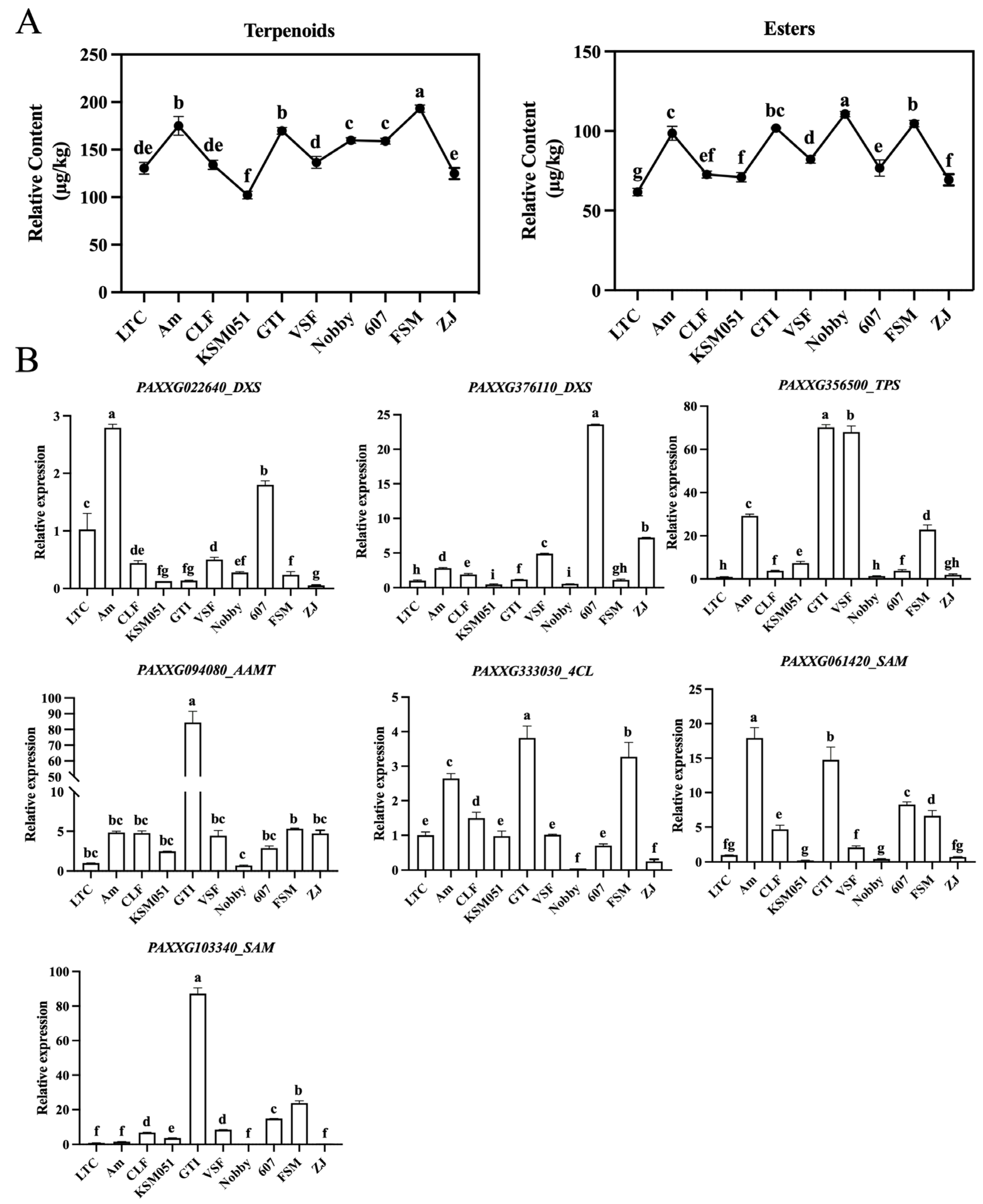 Plants 14 03682 g006