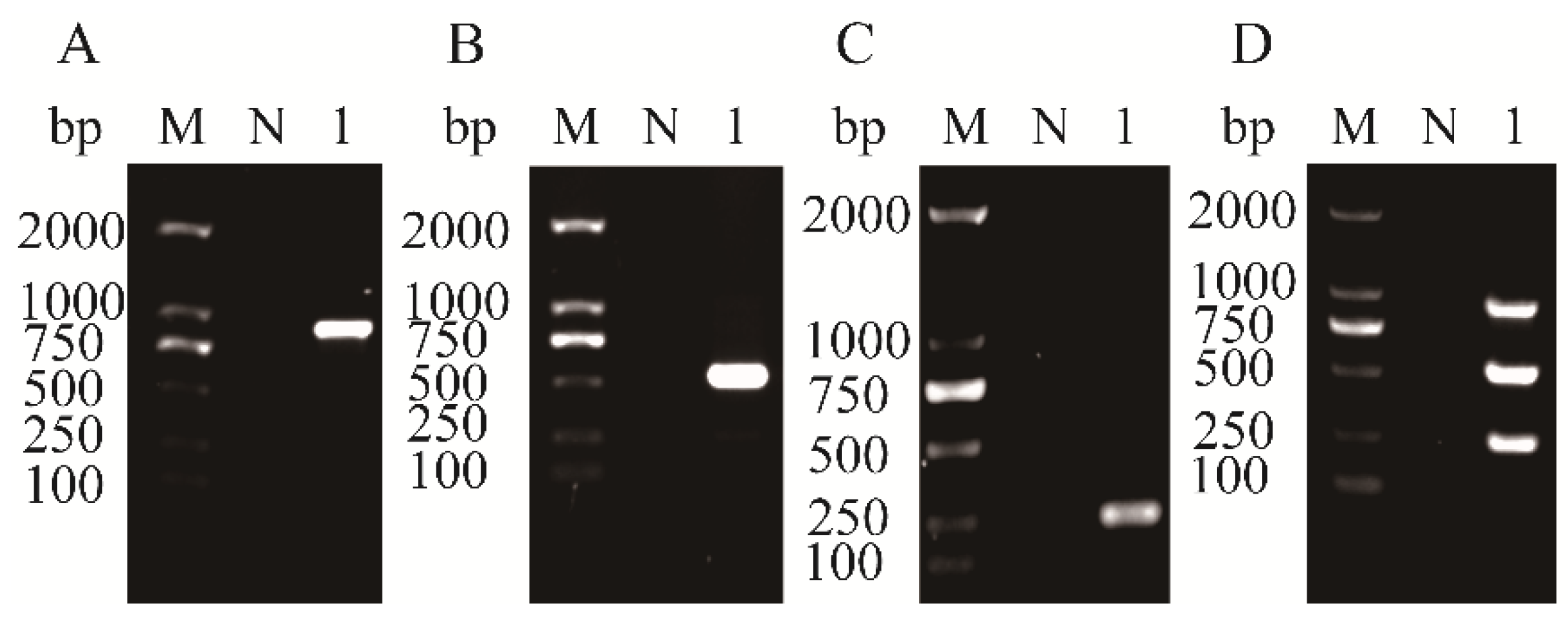 Plants 14 03683 g002