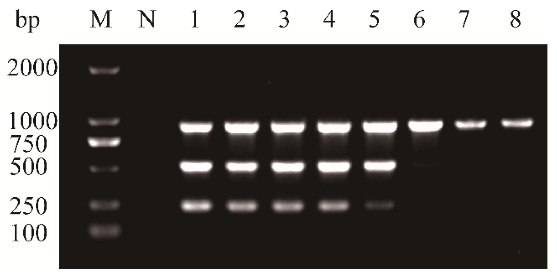 Plants 14 03683 g003