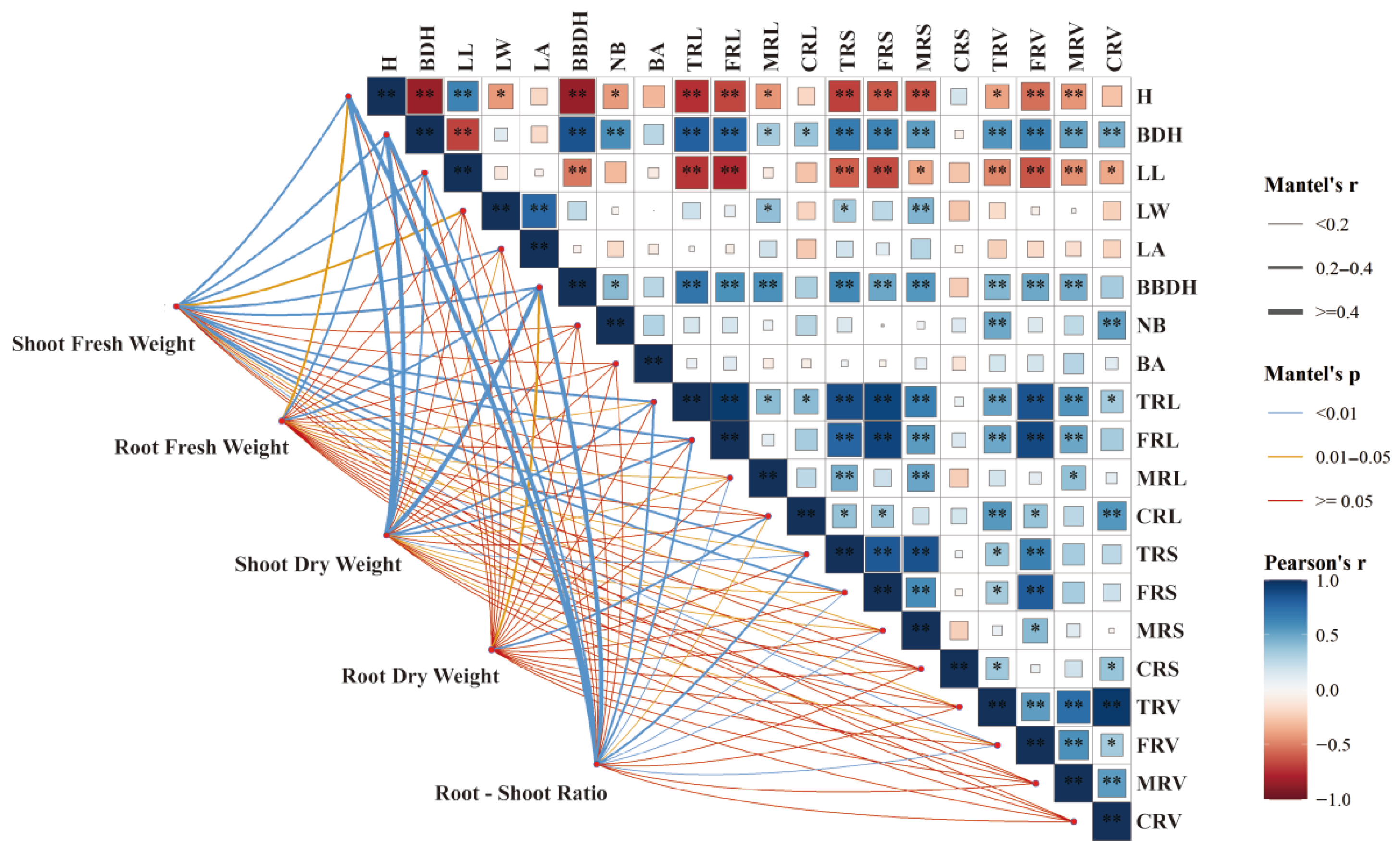 Plants 14 03684 g005