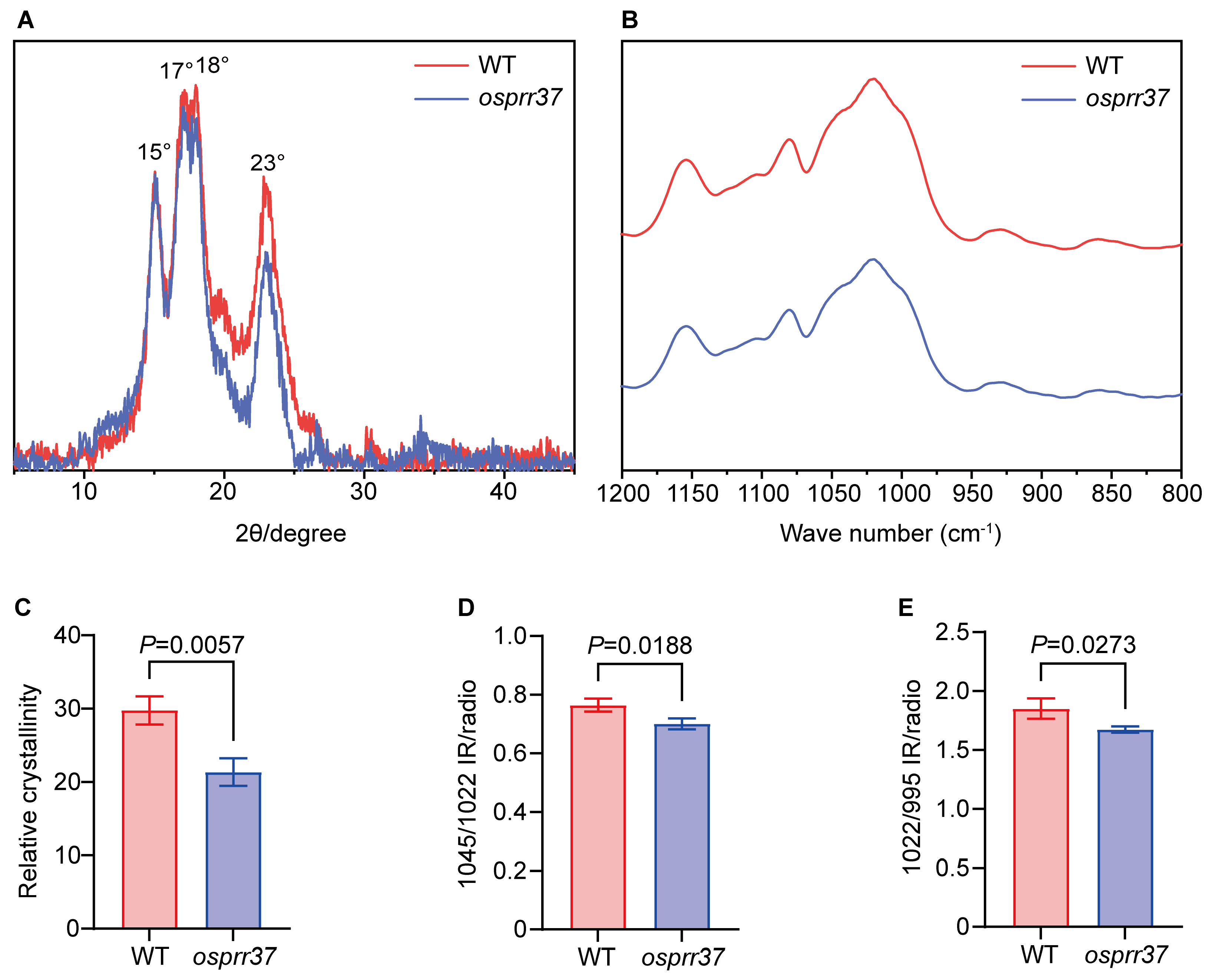 Plants 14 03690 g008 Plants 14 03690 g008