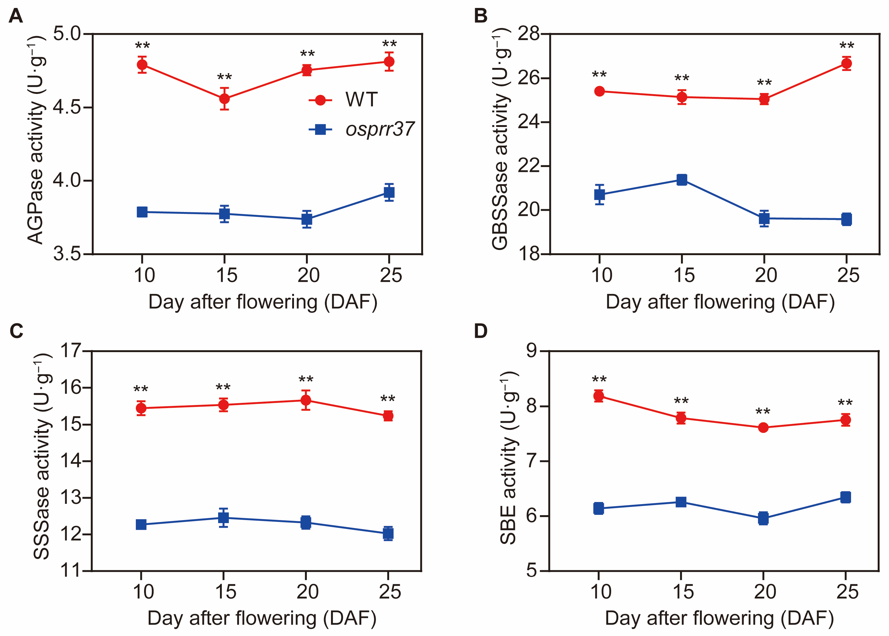 Plants 14 03690 g010 Plants 14 03690 g010