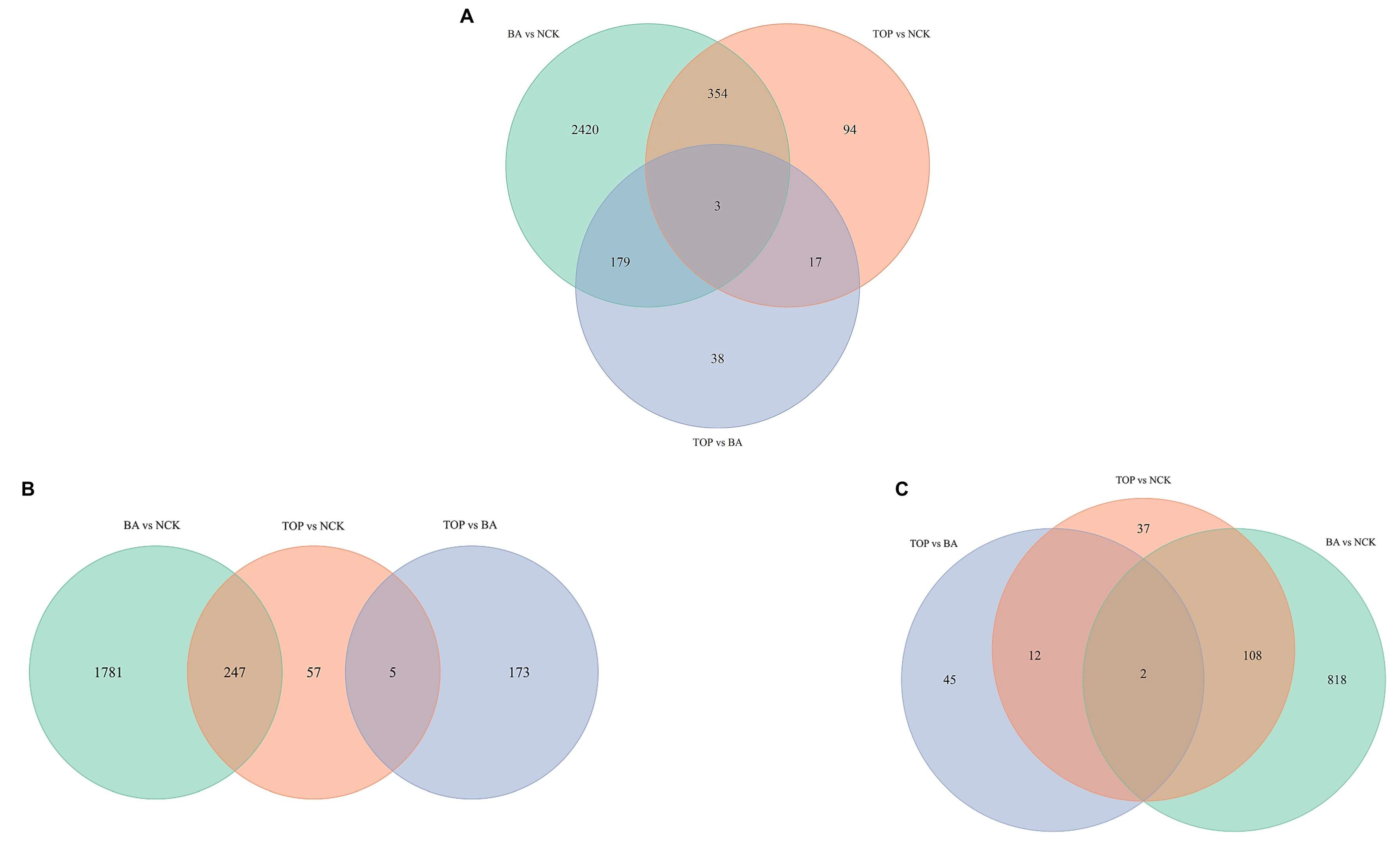 Plants 14 03691 g001