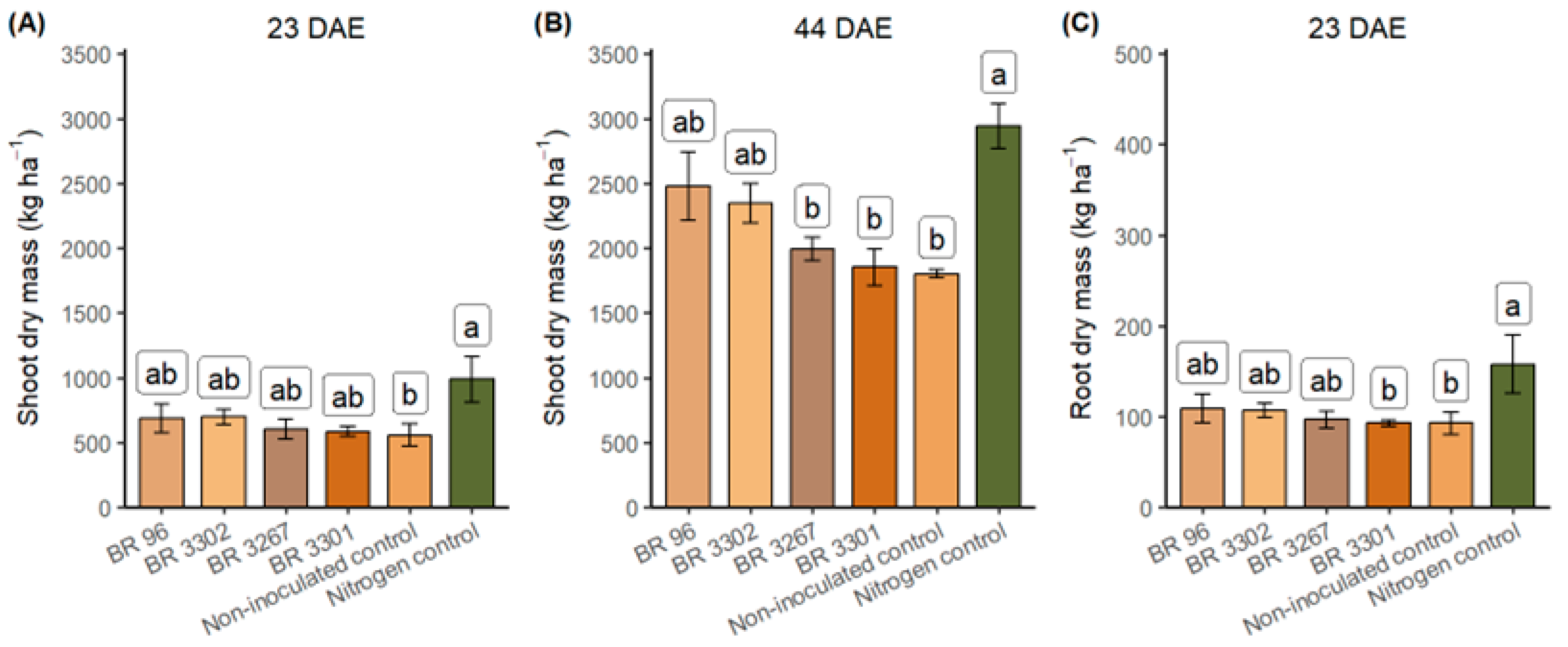 Plants 14 03695 g001