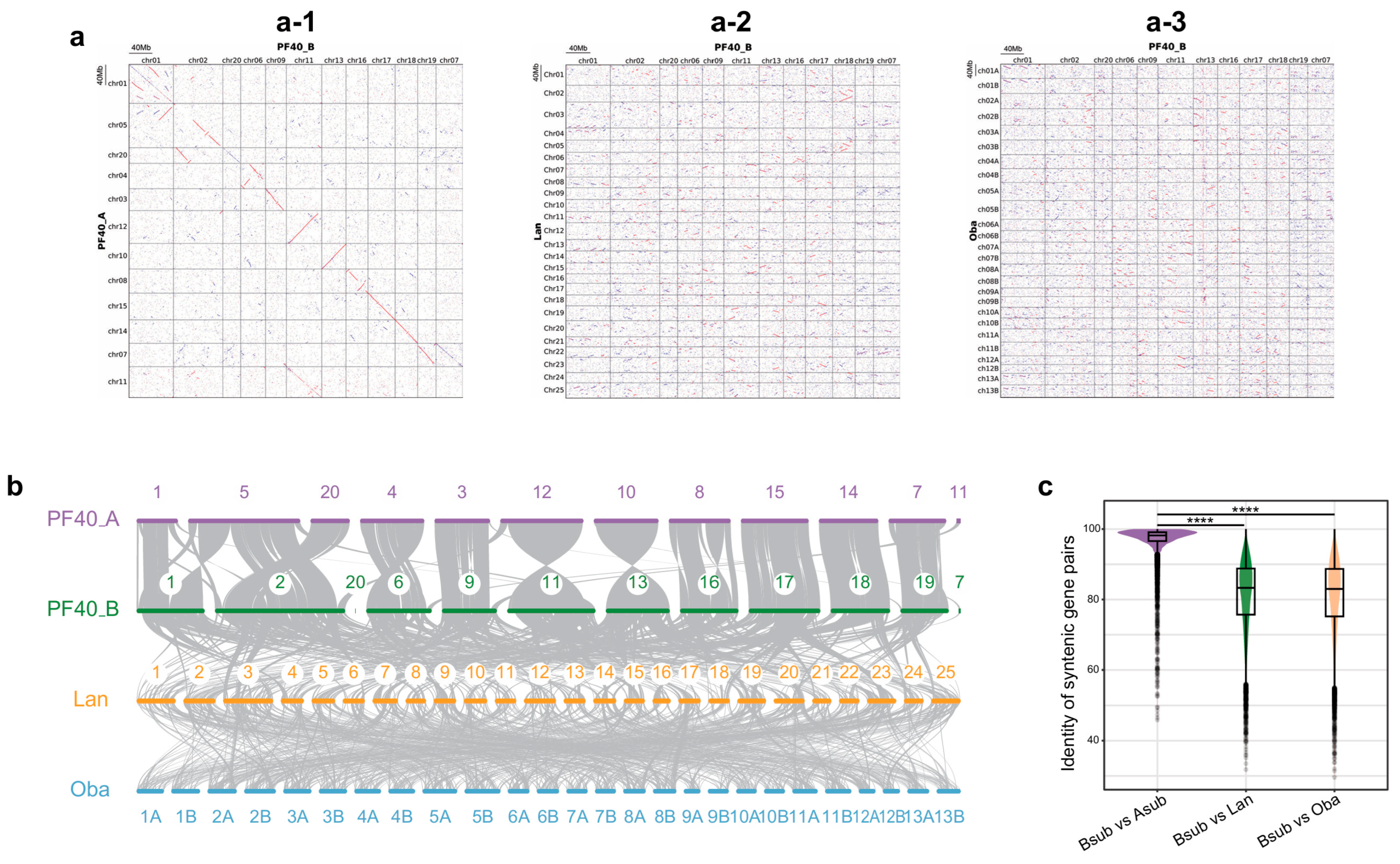 Plants 14 03698 g001