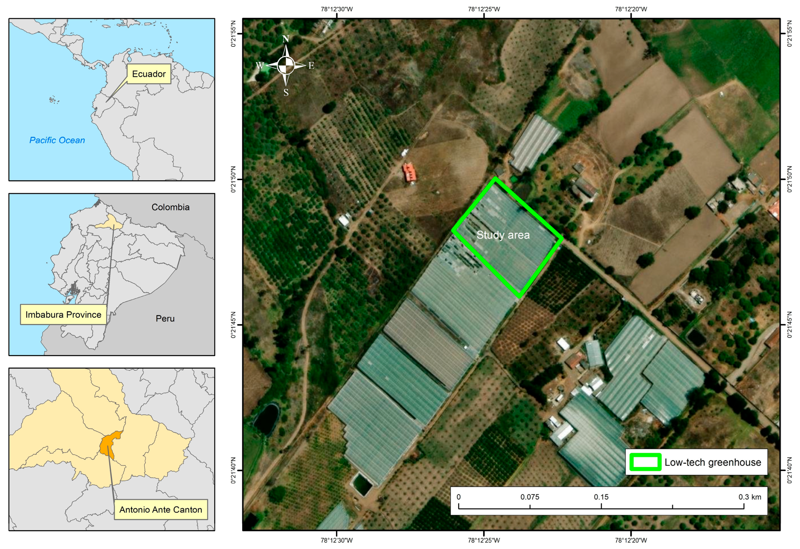 Plants 14 03702 g001