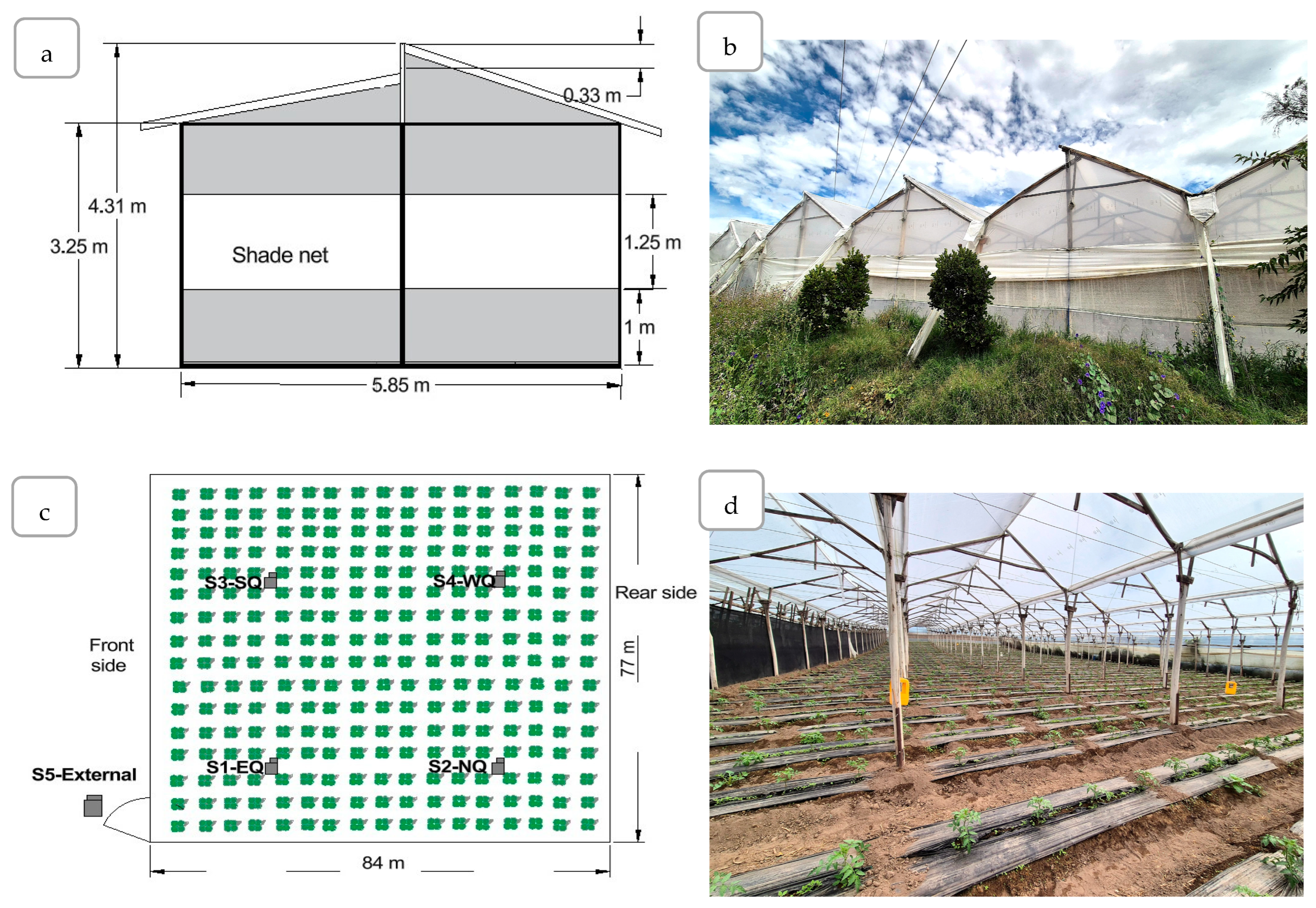 Plants 14 03702 g002