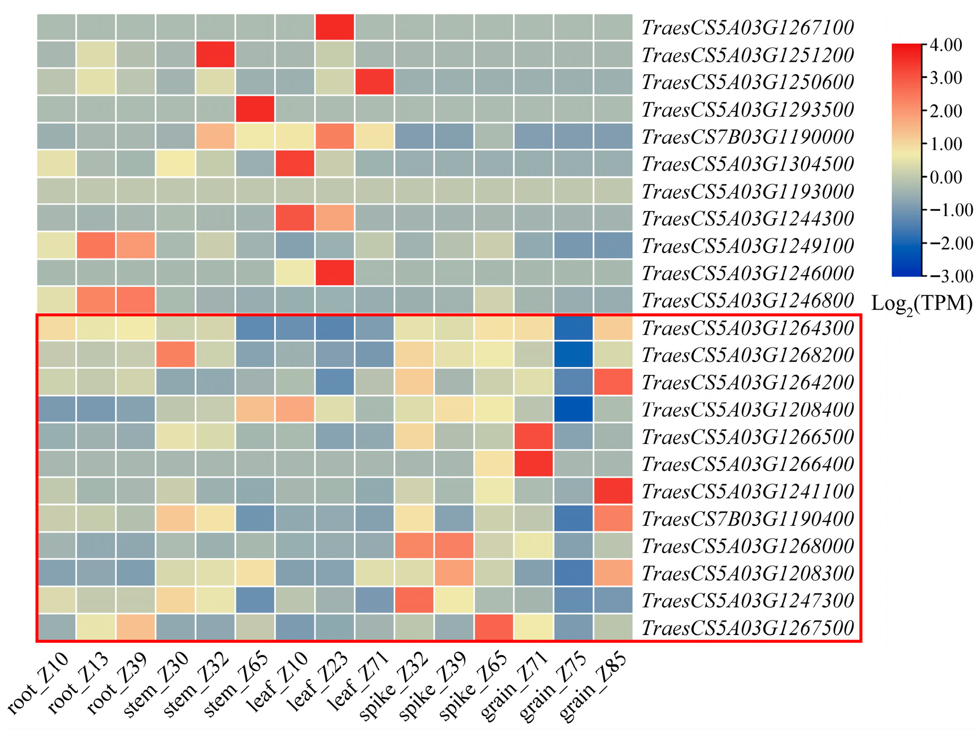 Plants 14 03703 g003 Plants 14 03703 g003
