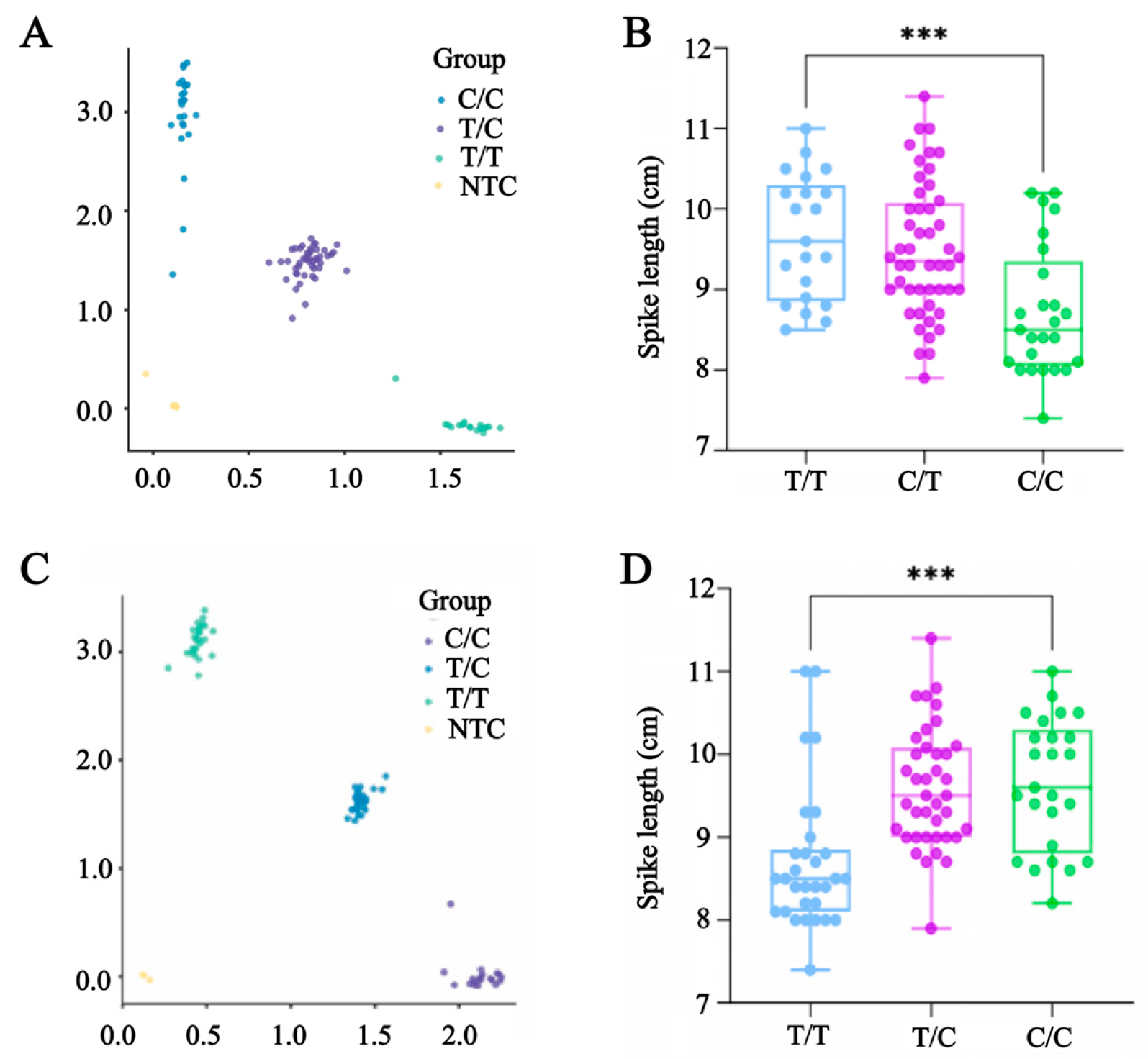 Plants 14 03703 g004 Plants 14 03703 g004