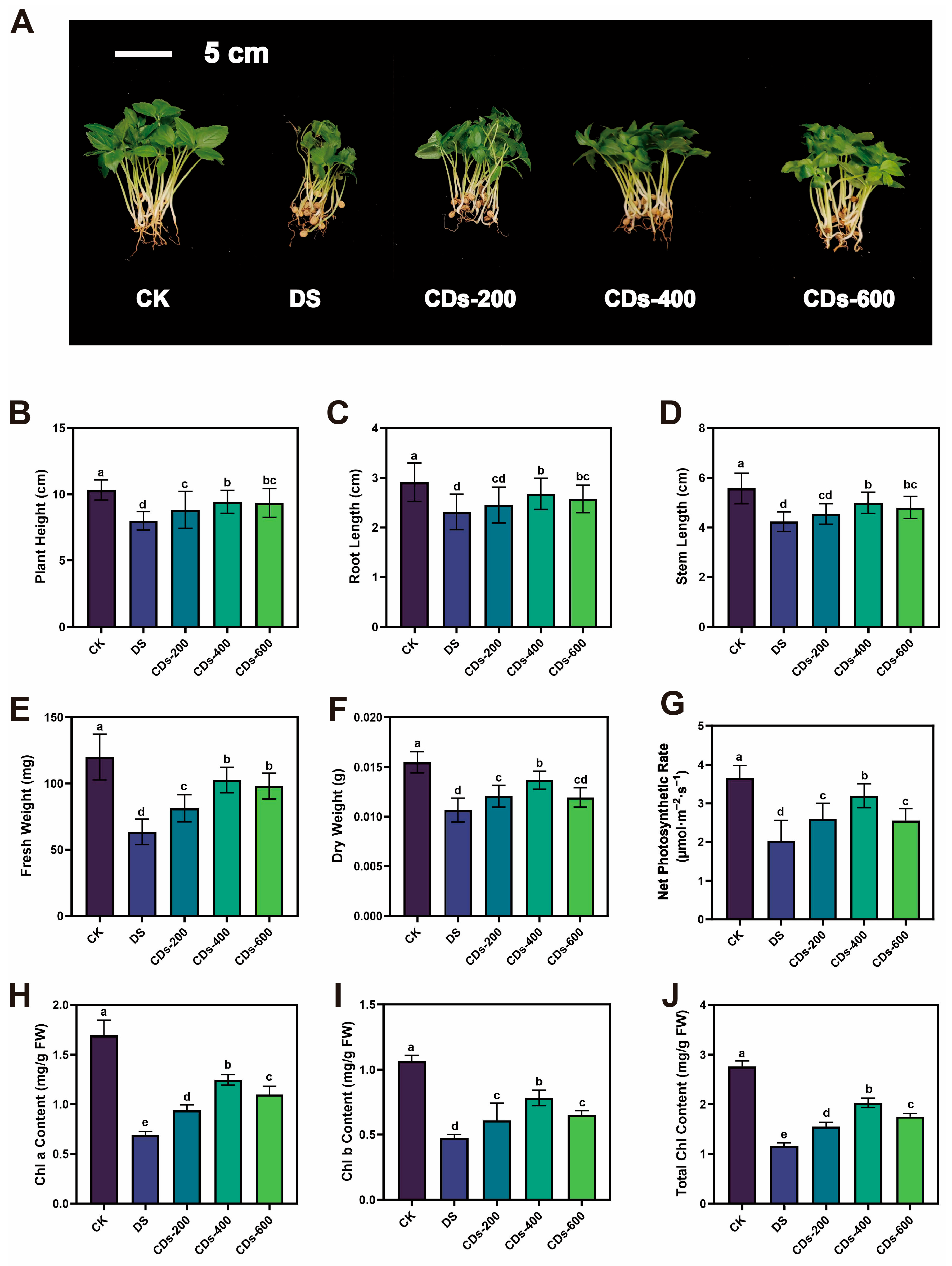 Plants 14 03705 g003