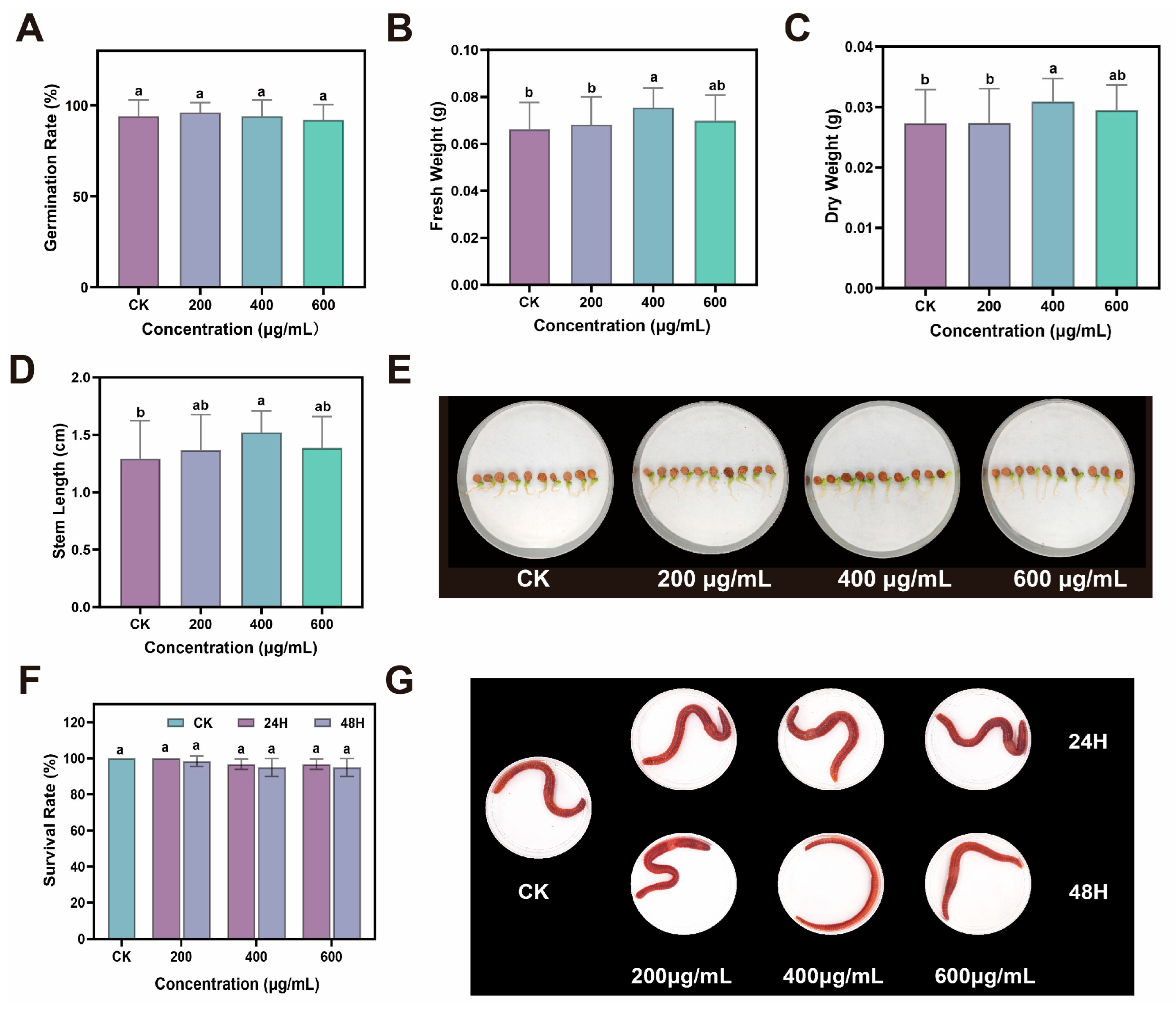 Plants 14 03705 g006
