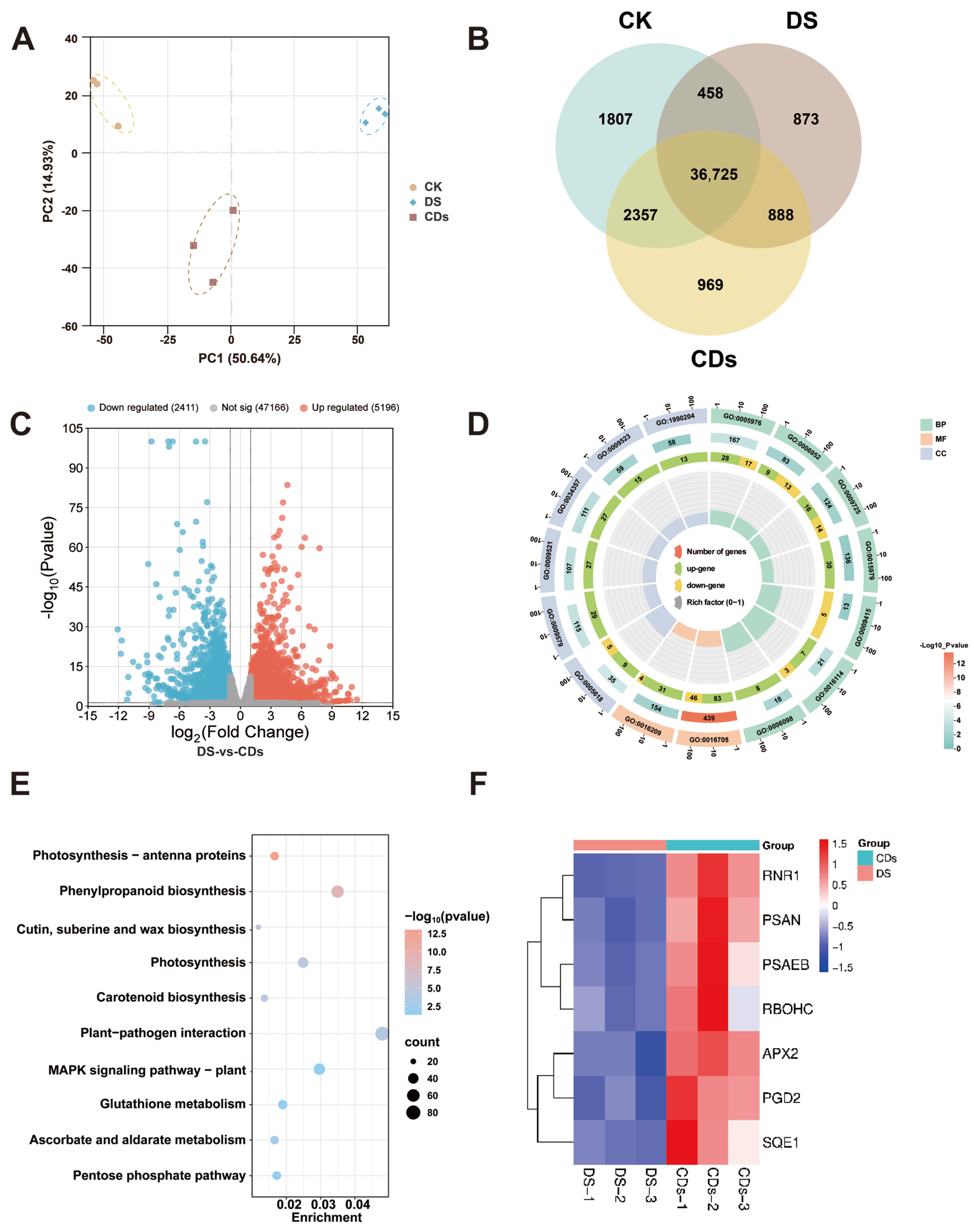Plants 14 03705 g007