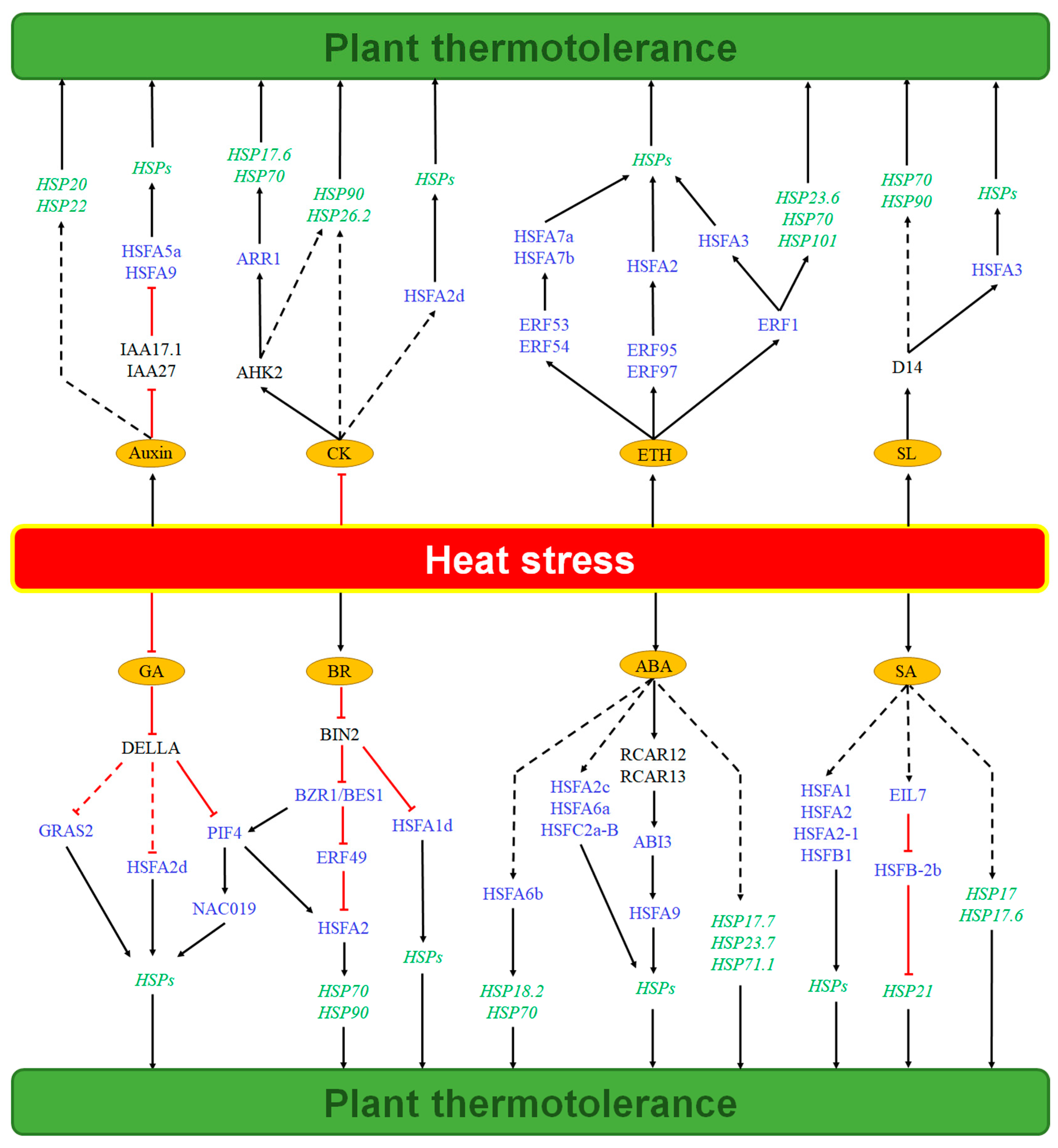 Plants 14 03706 g001 Plants 14 03706 g001