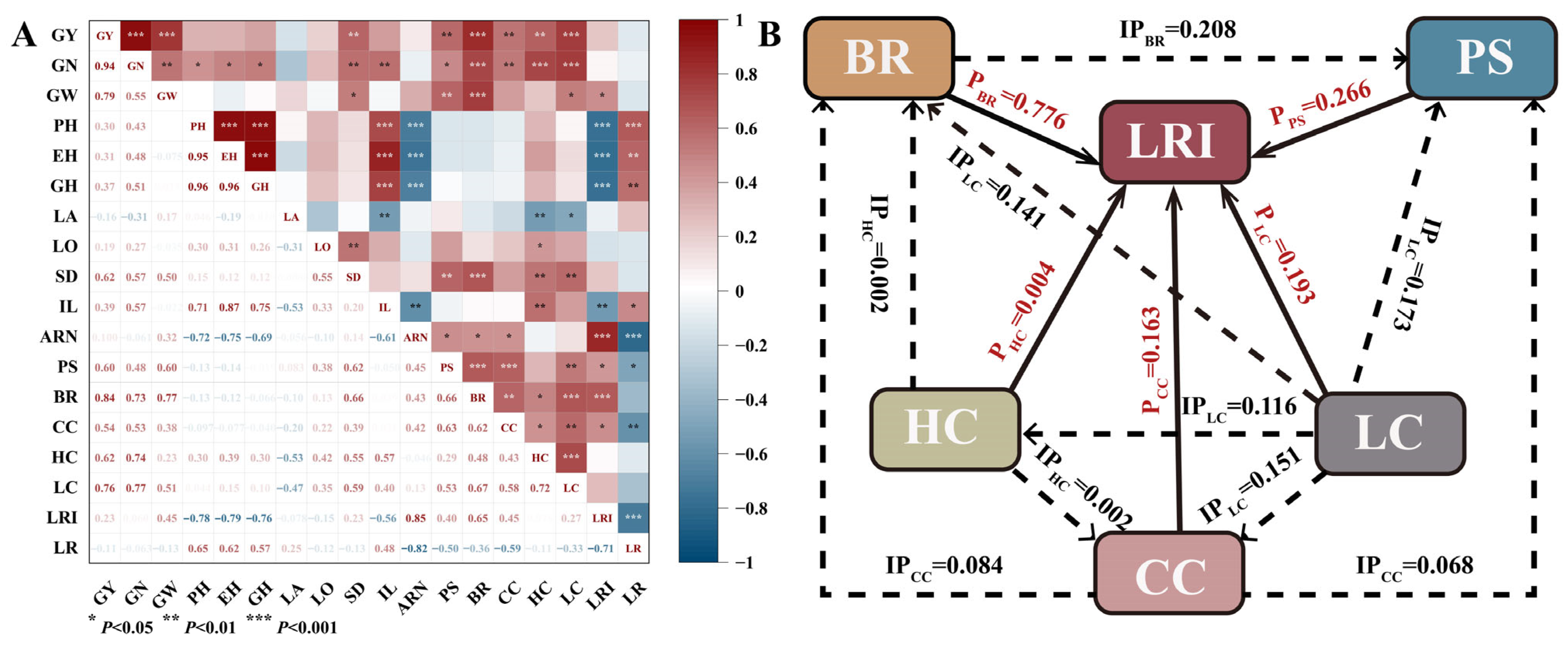 Plants 14 03707 g011 Plants 14 03707 g011