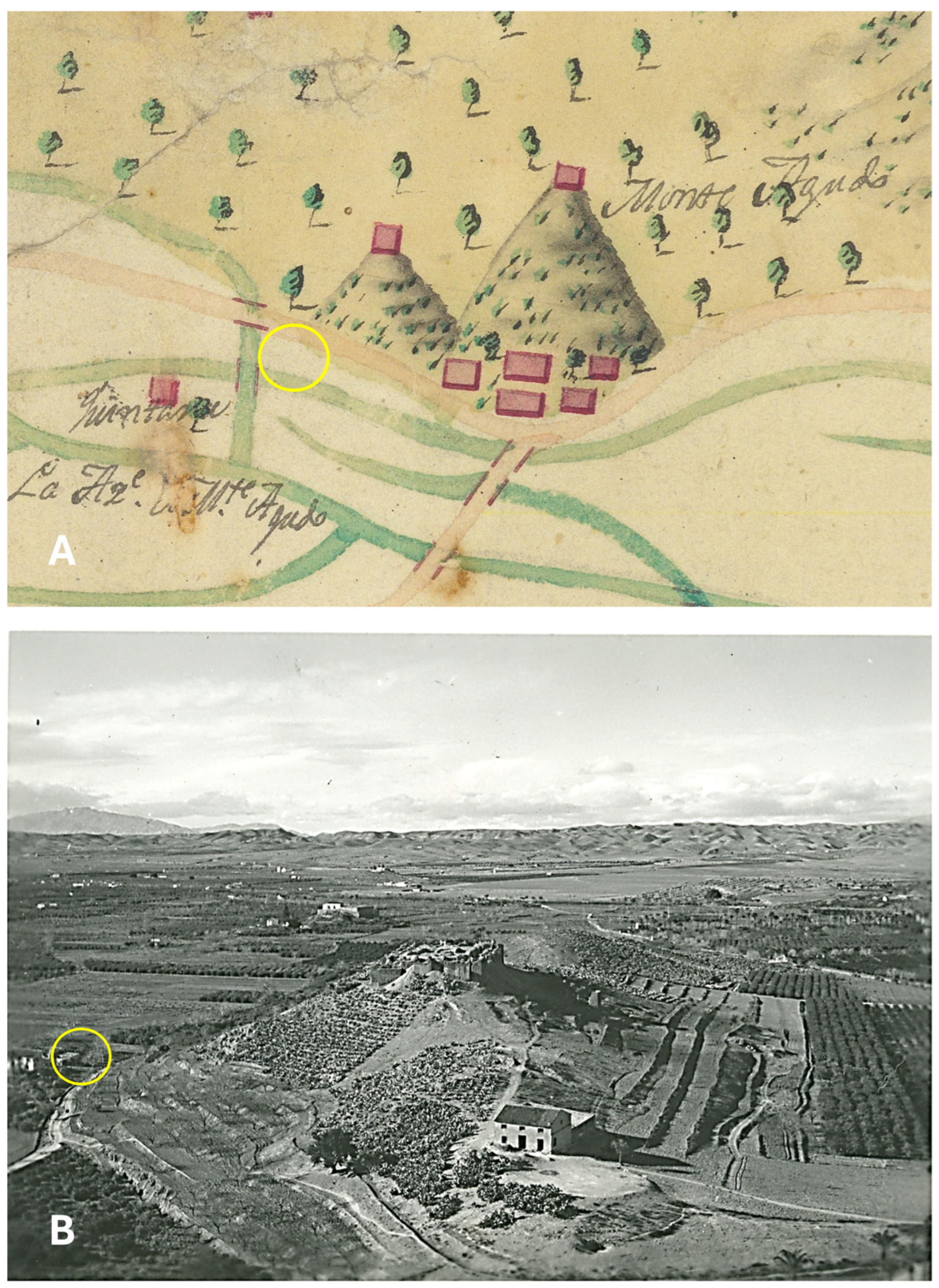 Plants 14 03709 g001