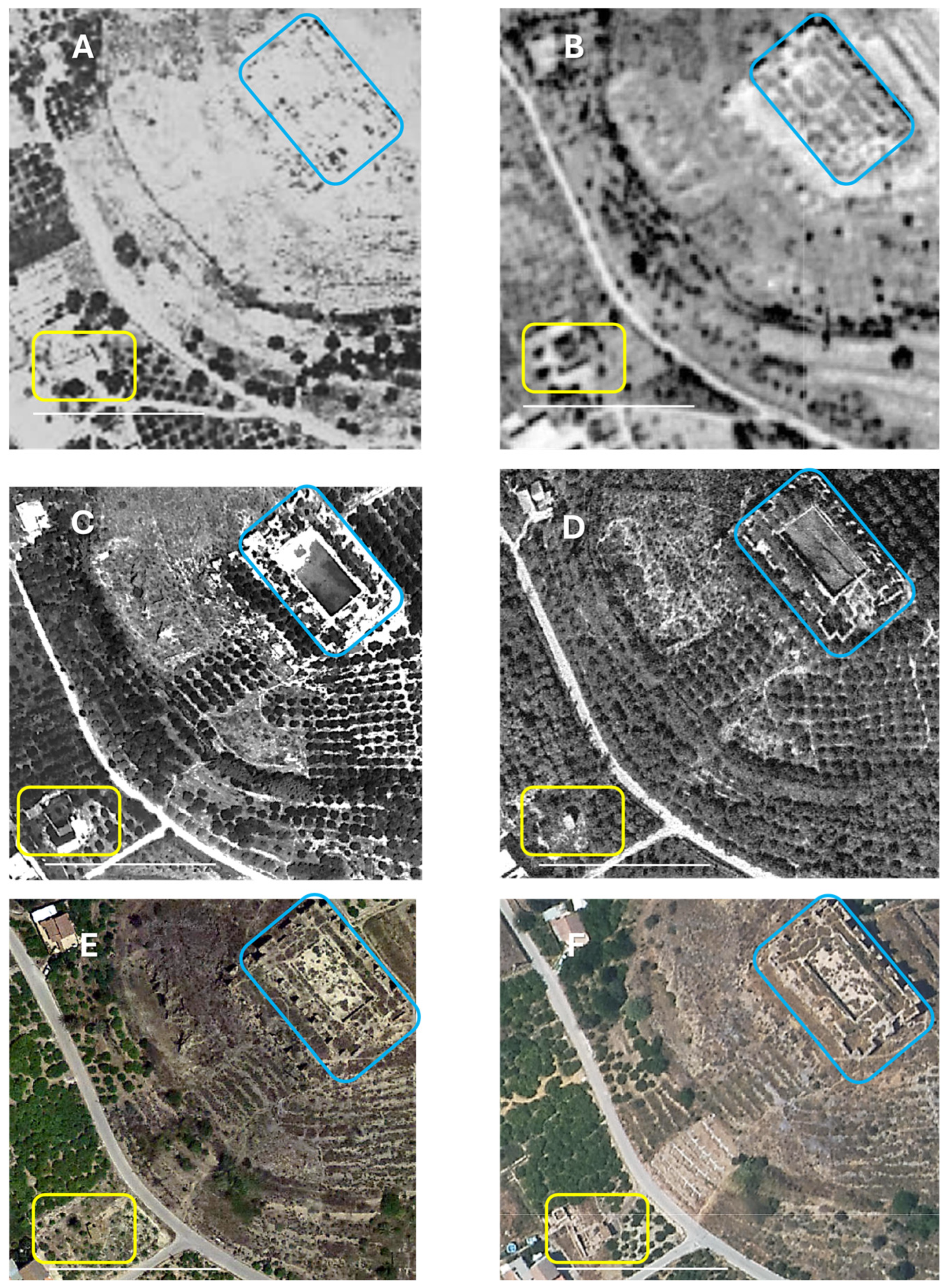 Plants 14 03709 g002