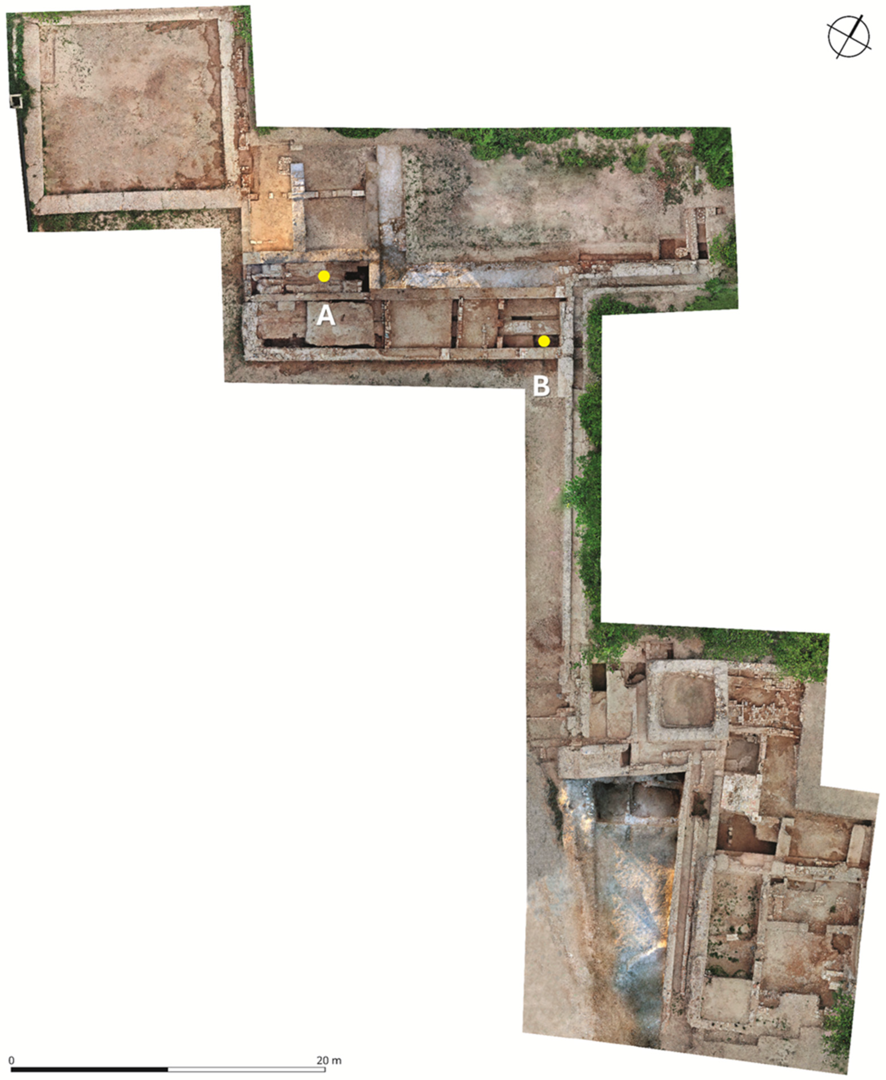 Plants 14 03709 g005