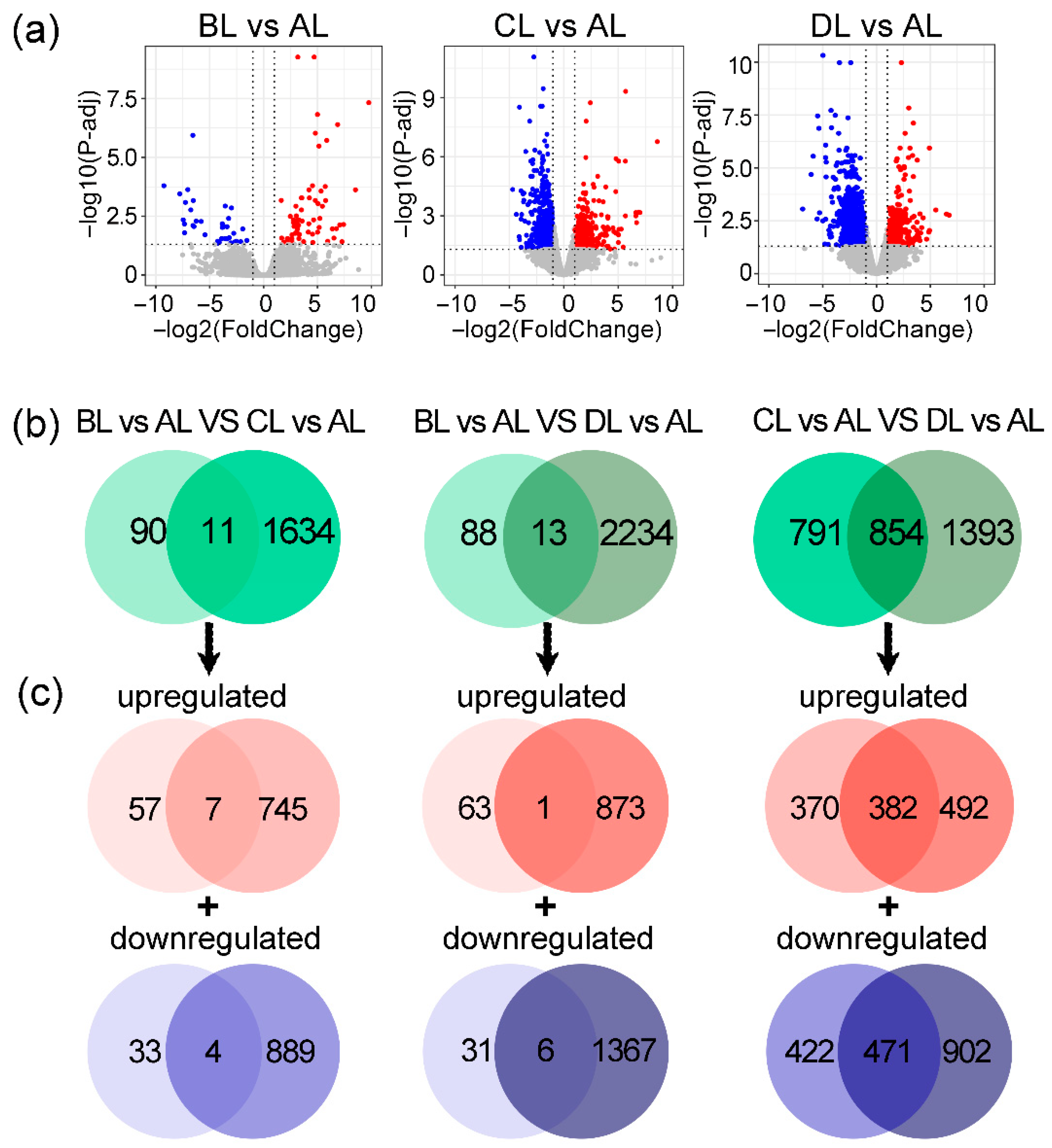 Plants 14 03712 g004