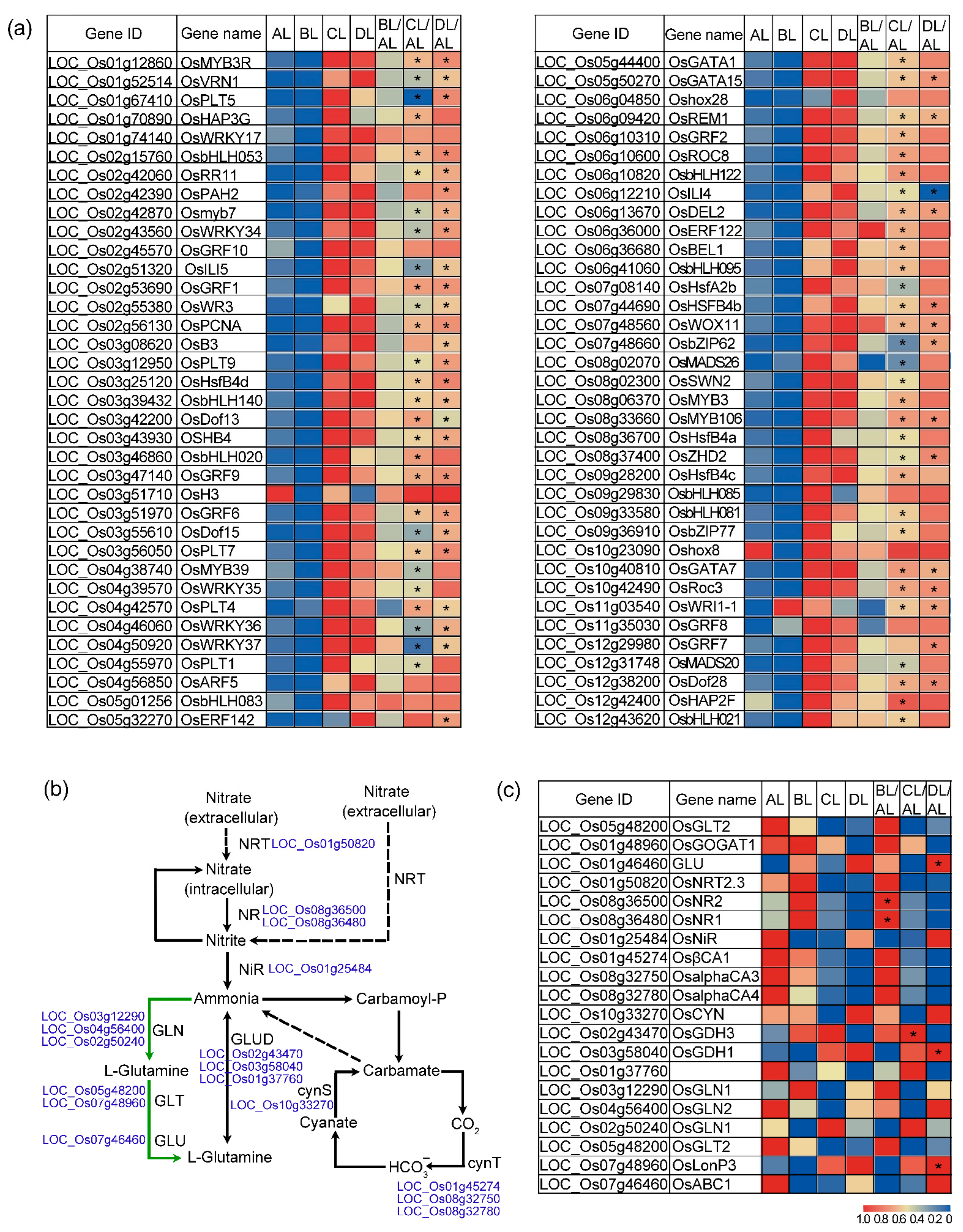 Plants 14 03712 g006