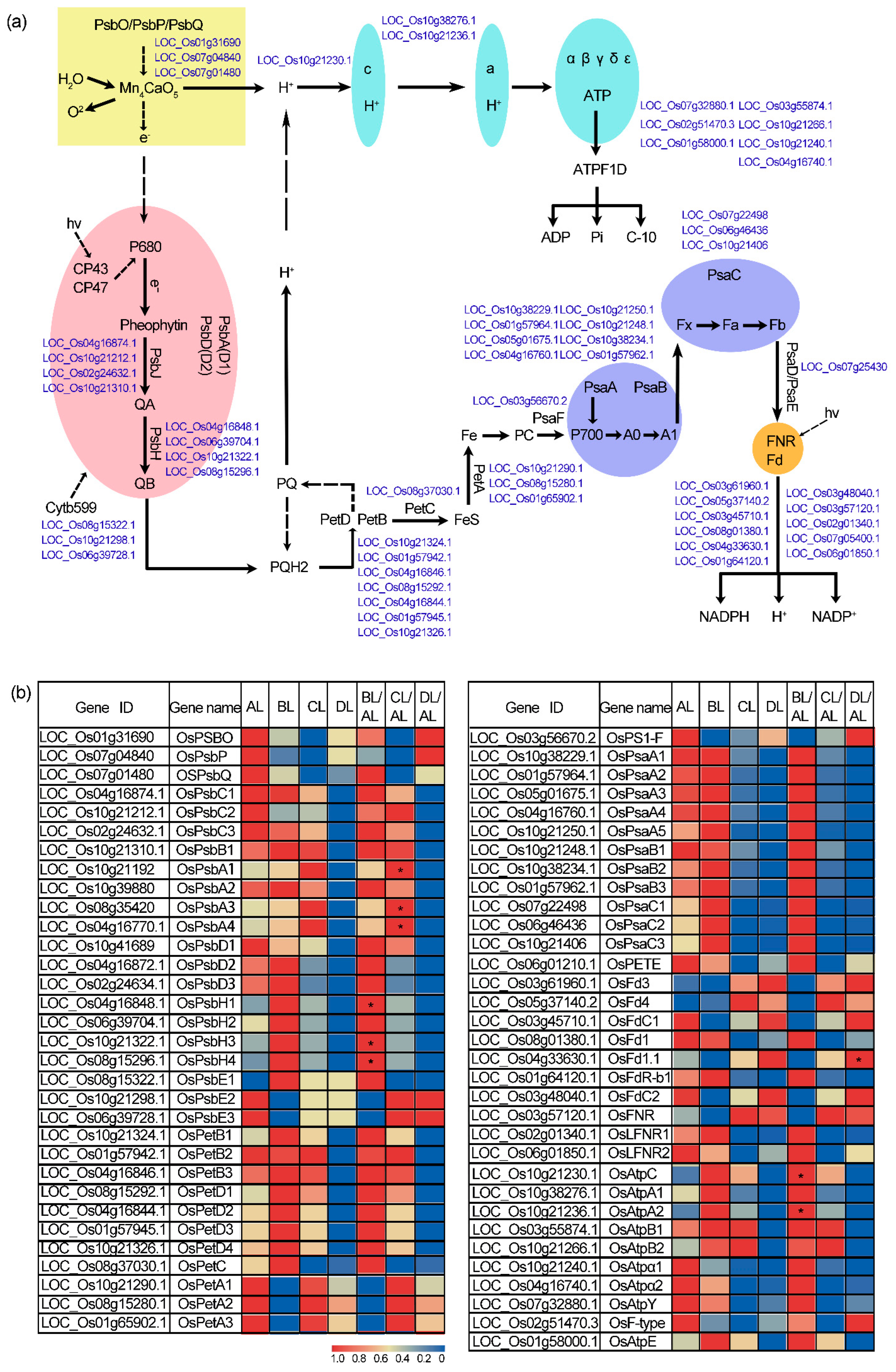 Plants 14 03712 g007