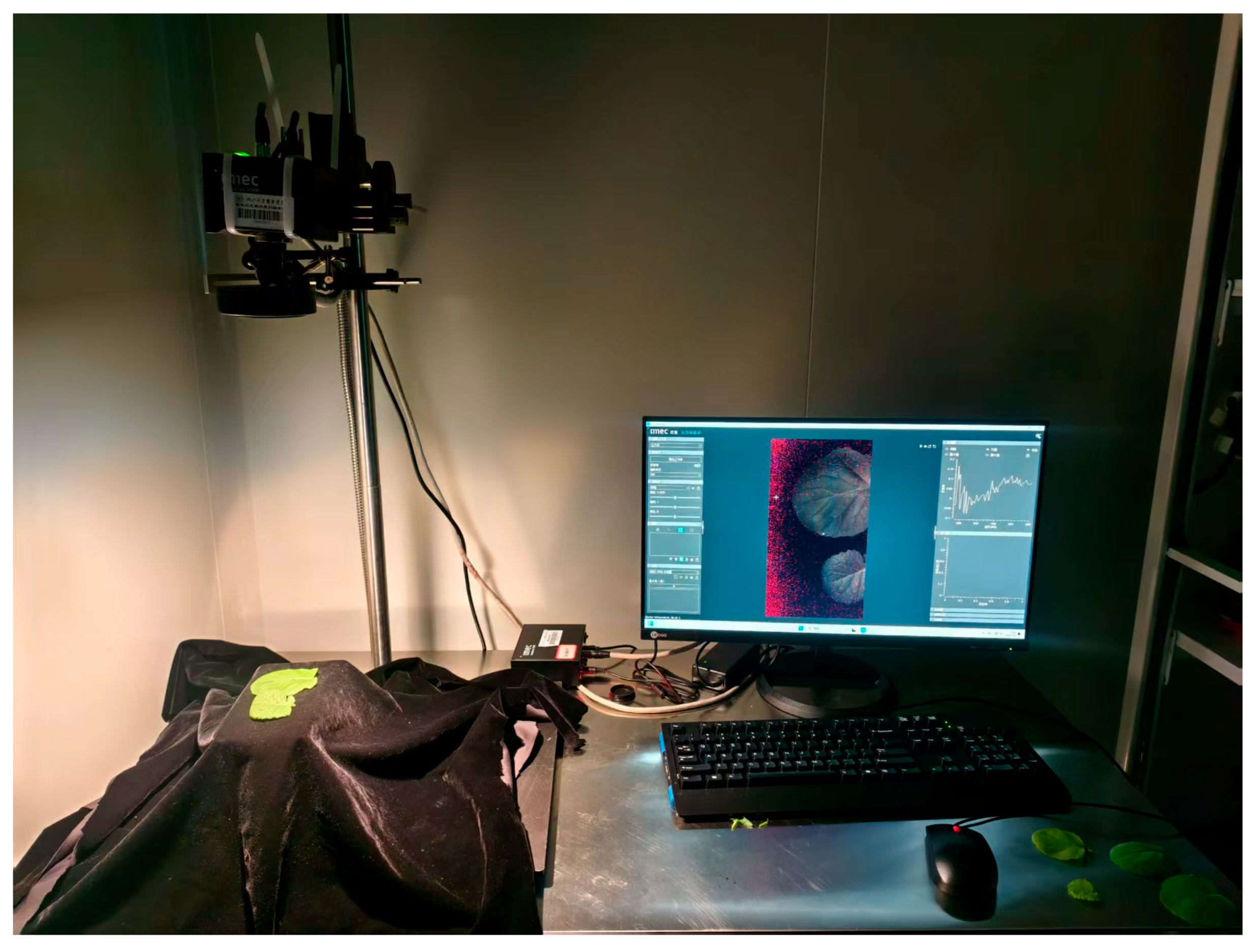 Plants 14 03713 g001