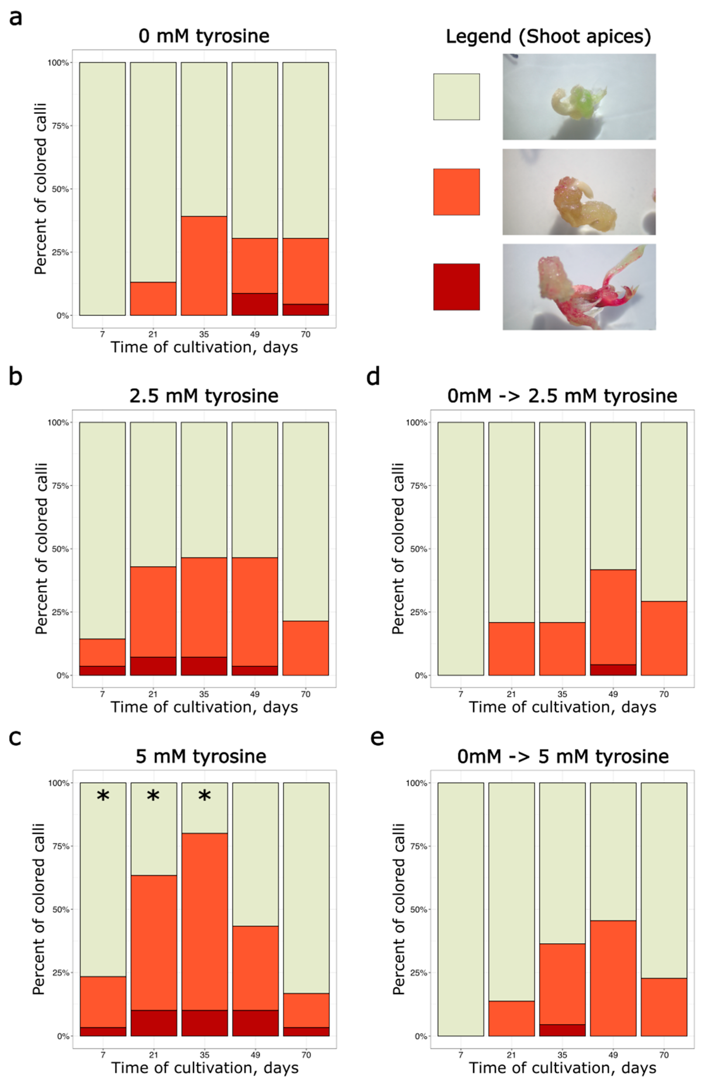 Plants 14 03719 g002