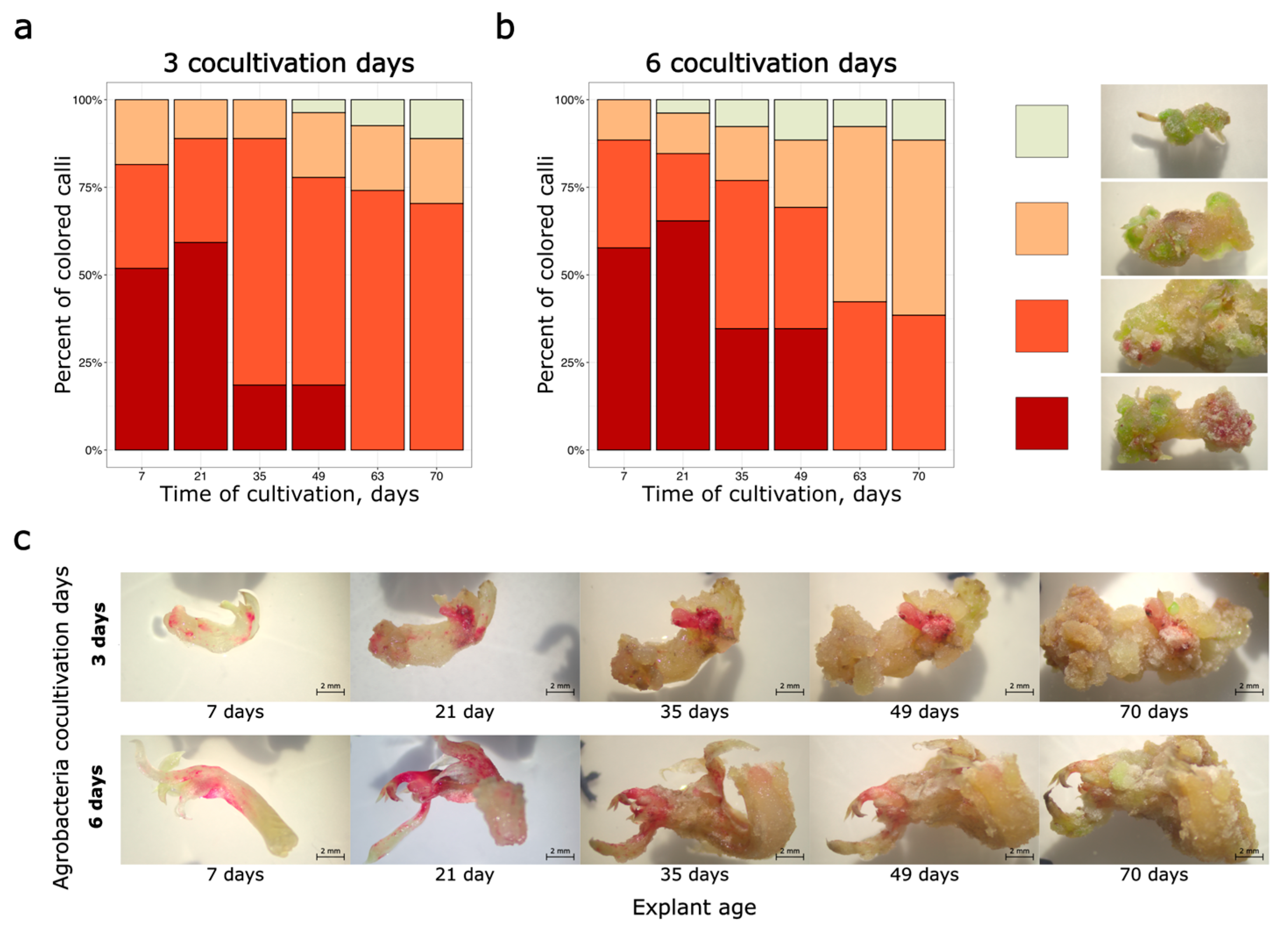 Plants 14 03719 g005