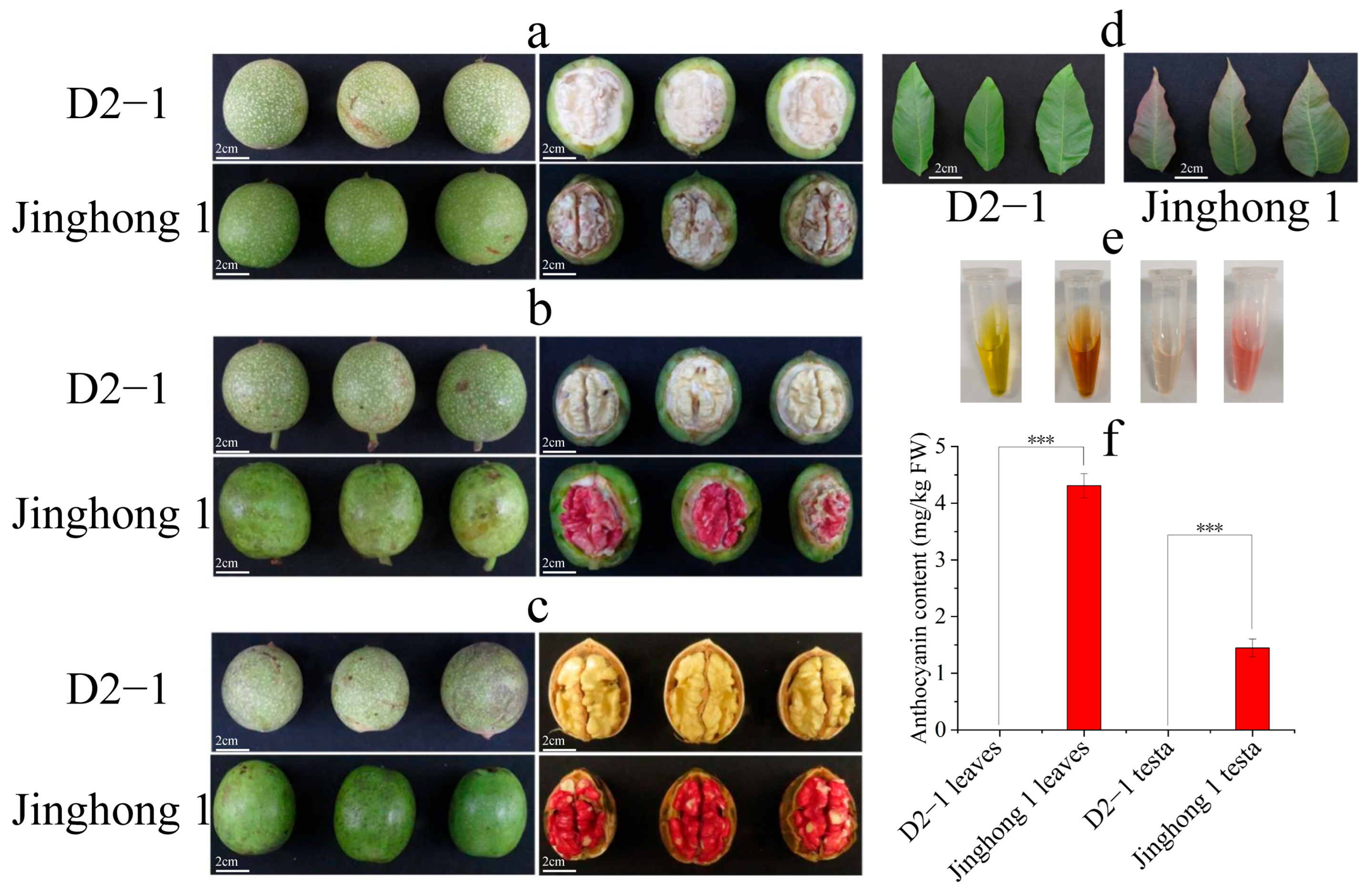 Plants 14 03727 g001