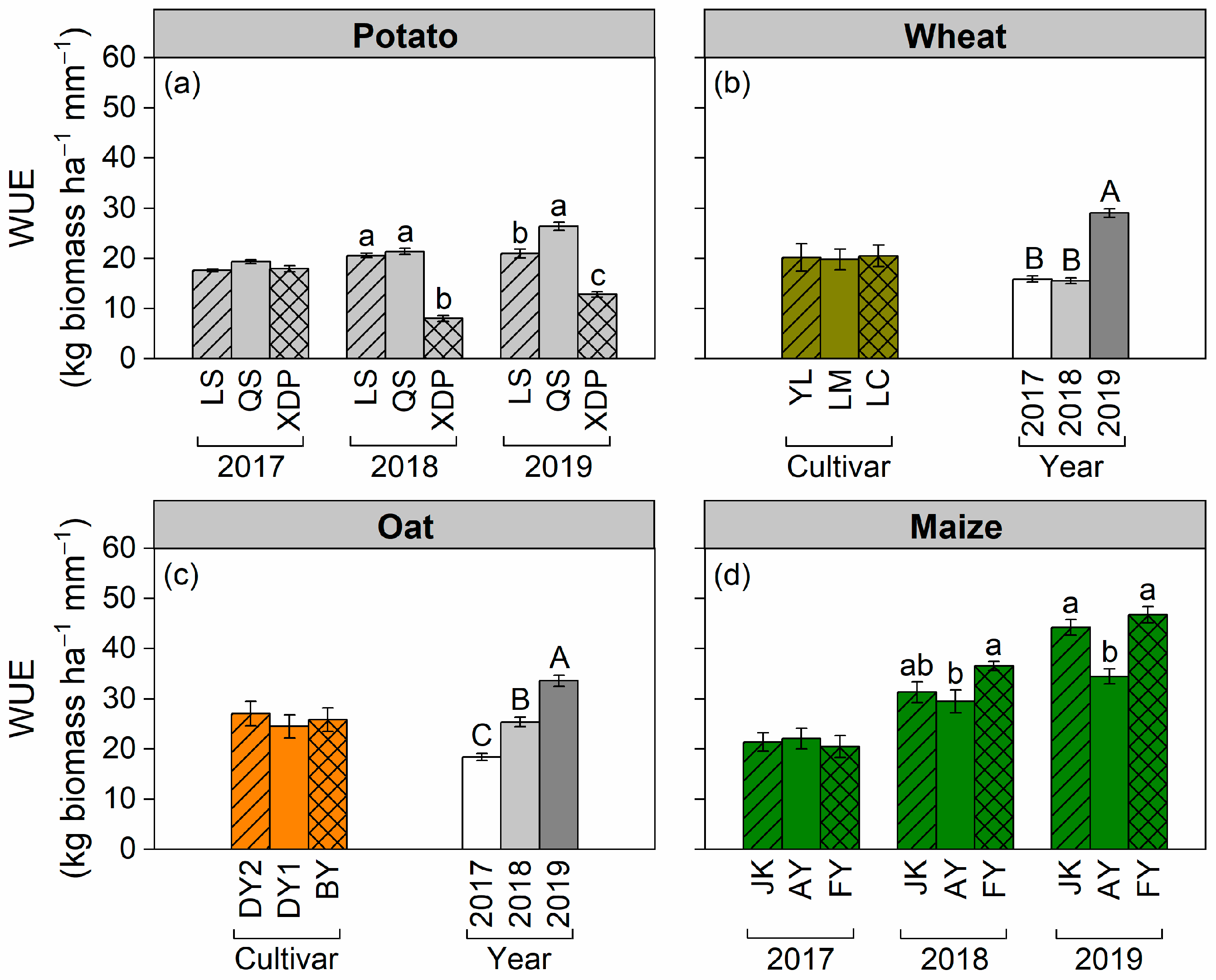 Plants 14 03736 g007 Plants 14 03736 g007