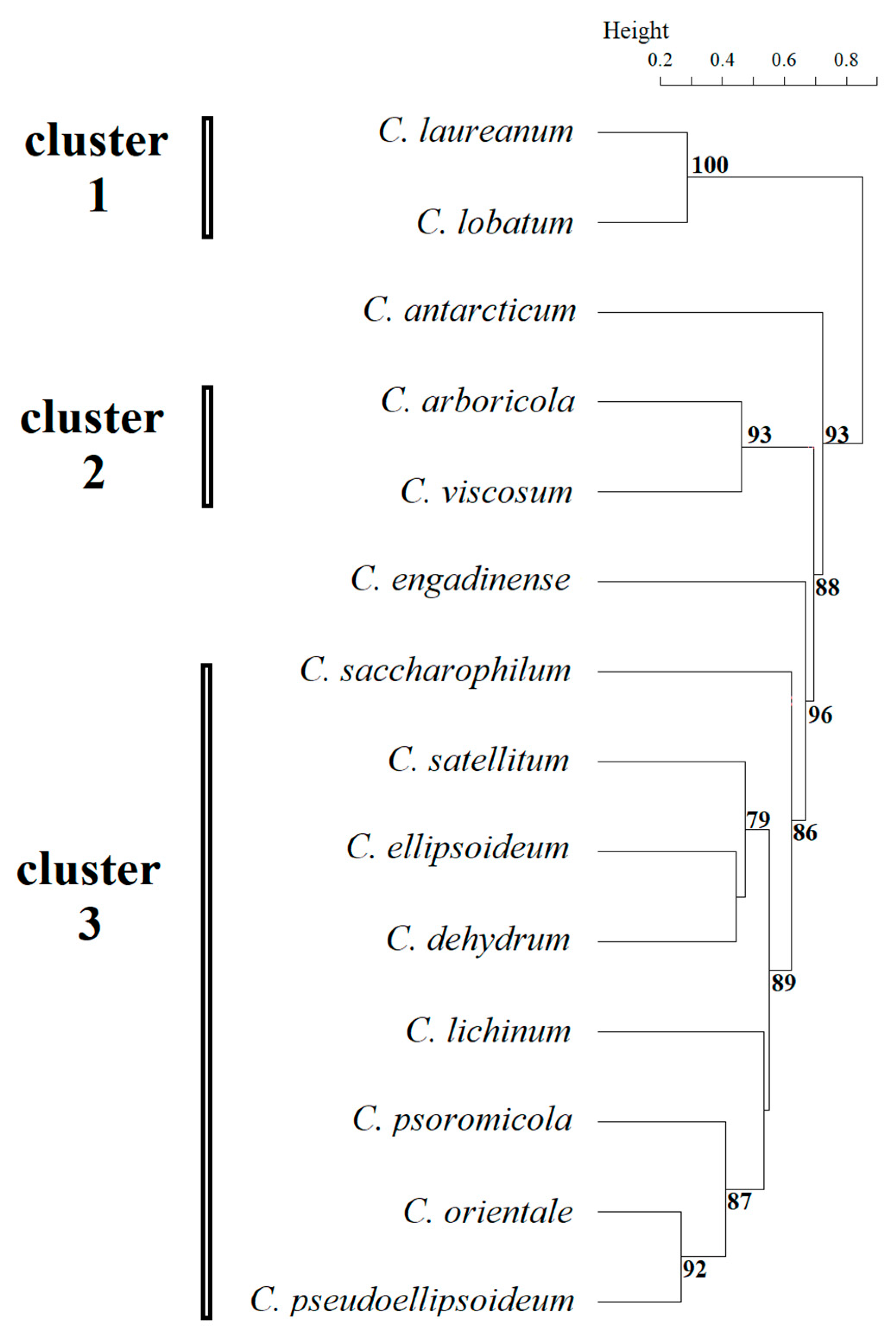 Plants 14 03739 g002