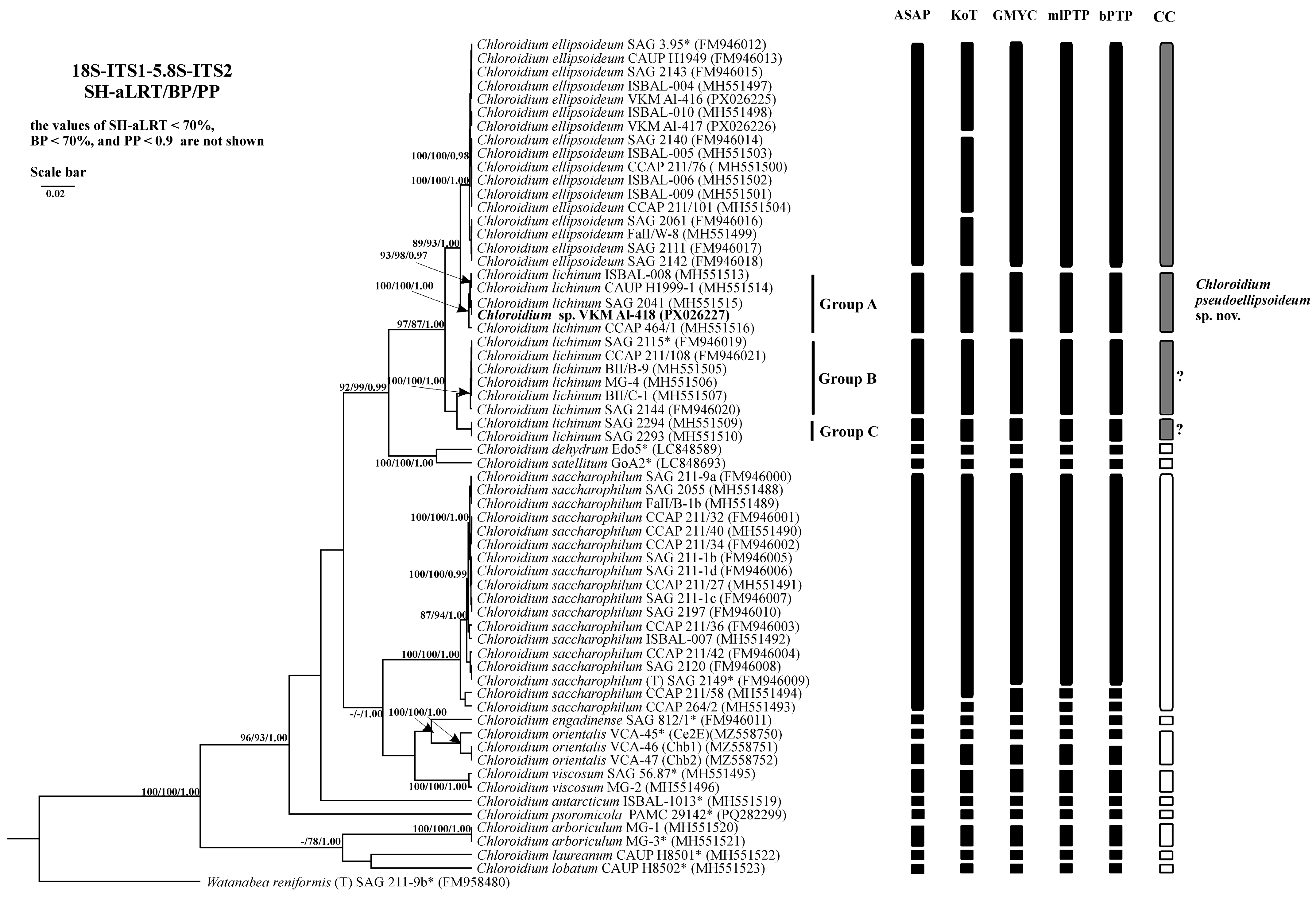 Plants 14 03739 g003