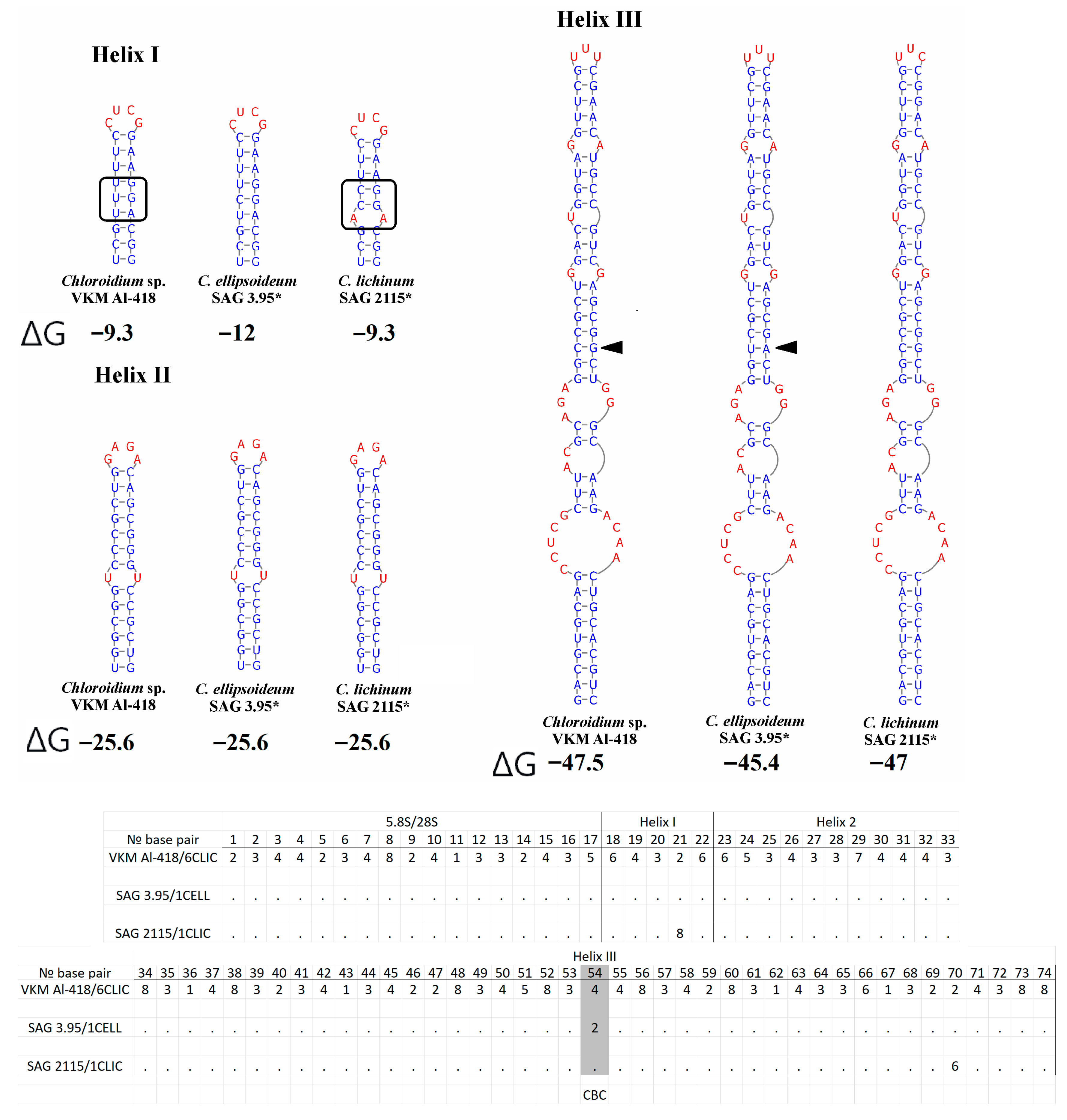 Plants 14 03739 g005