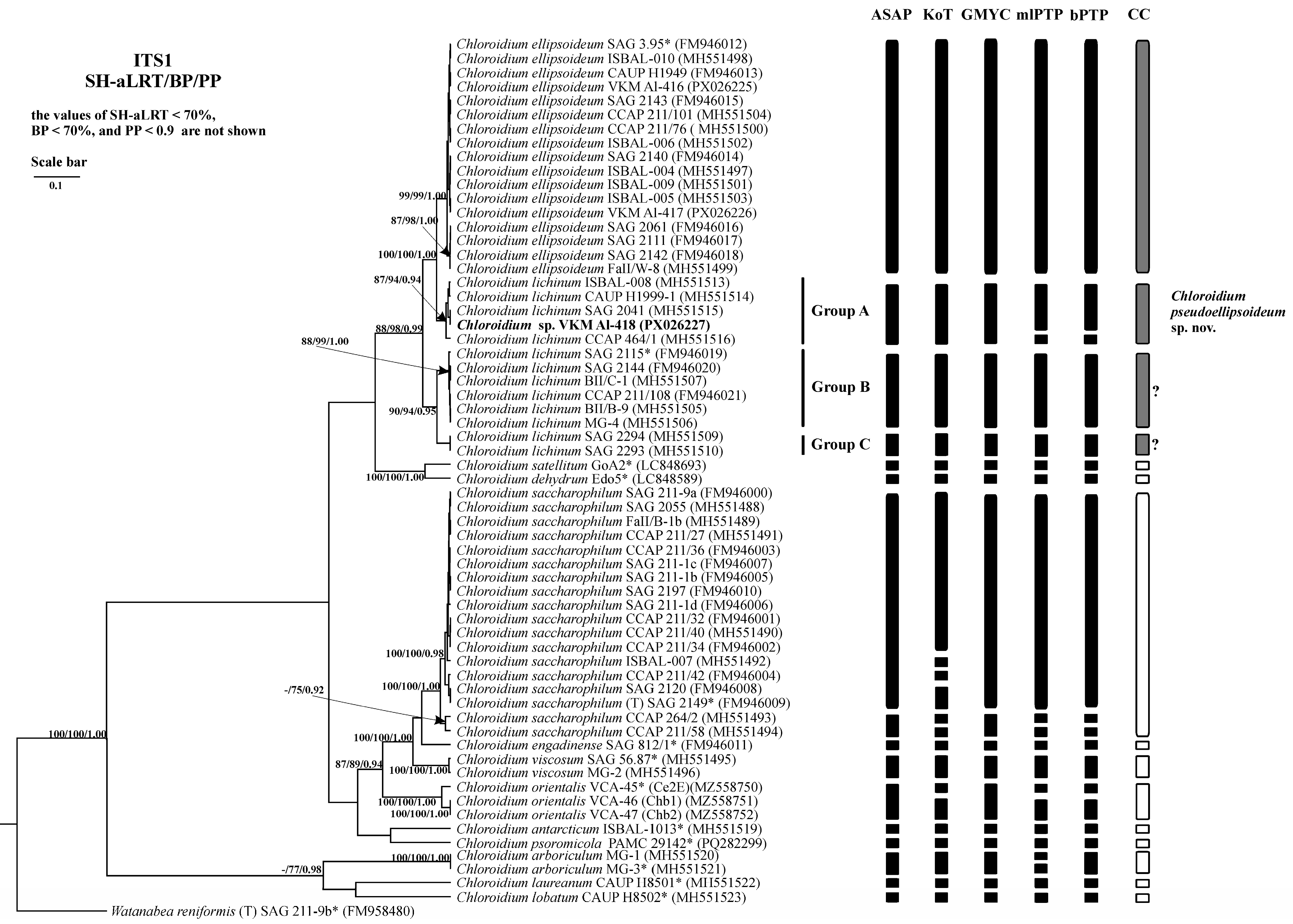 Plants 14 03739 g006