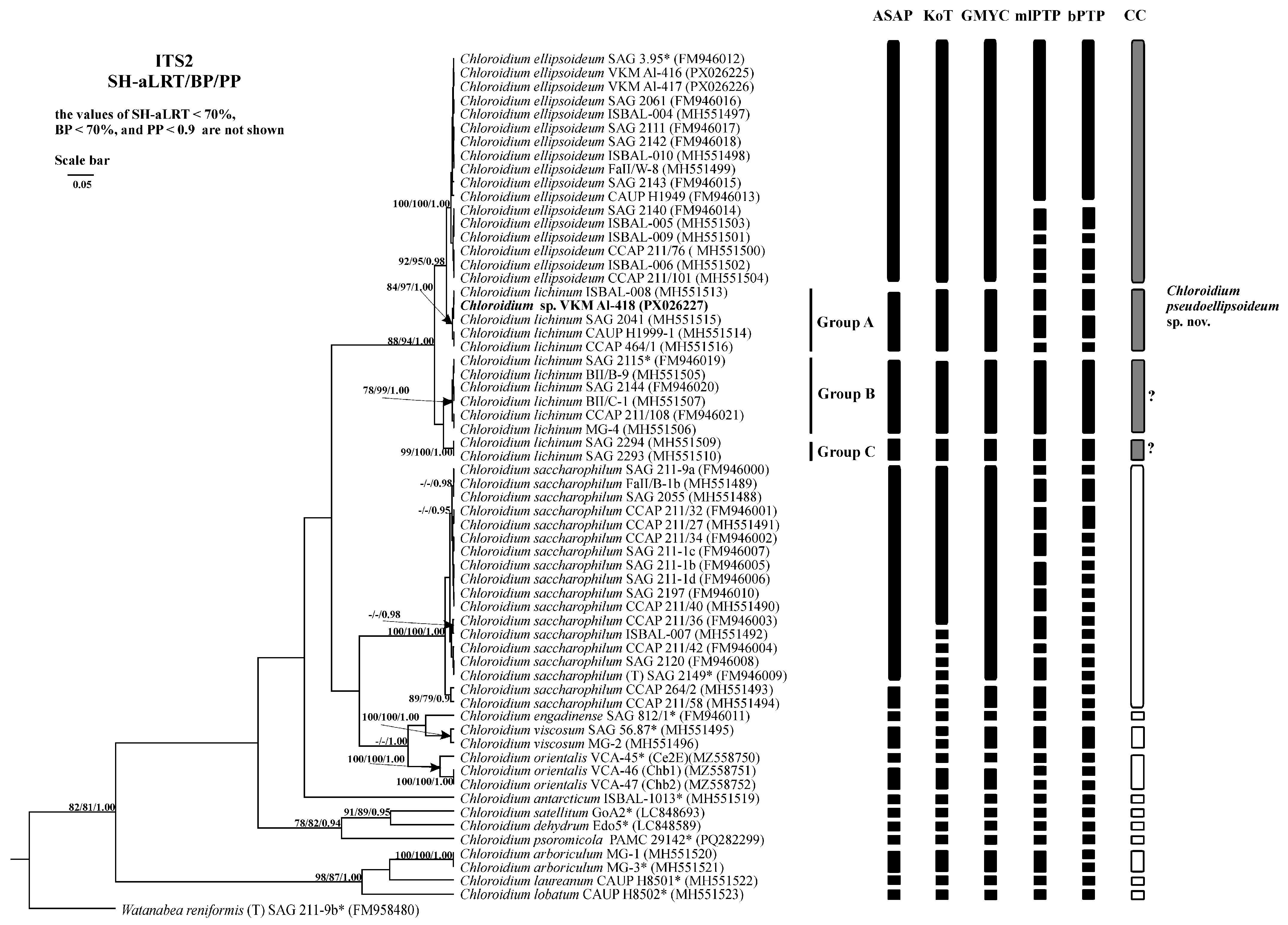 Plants 14 03739 g007