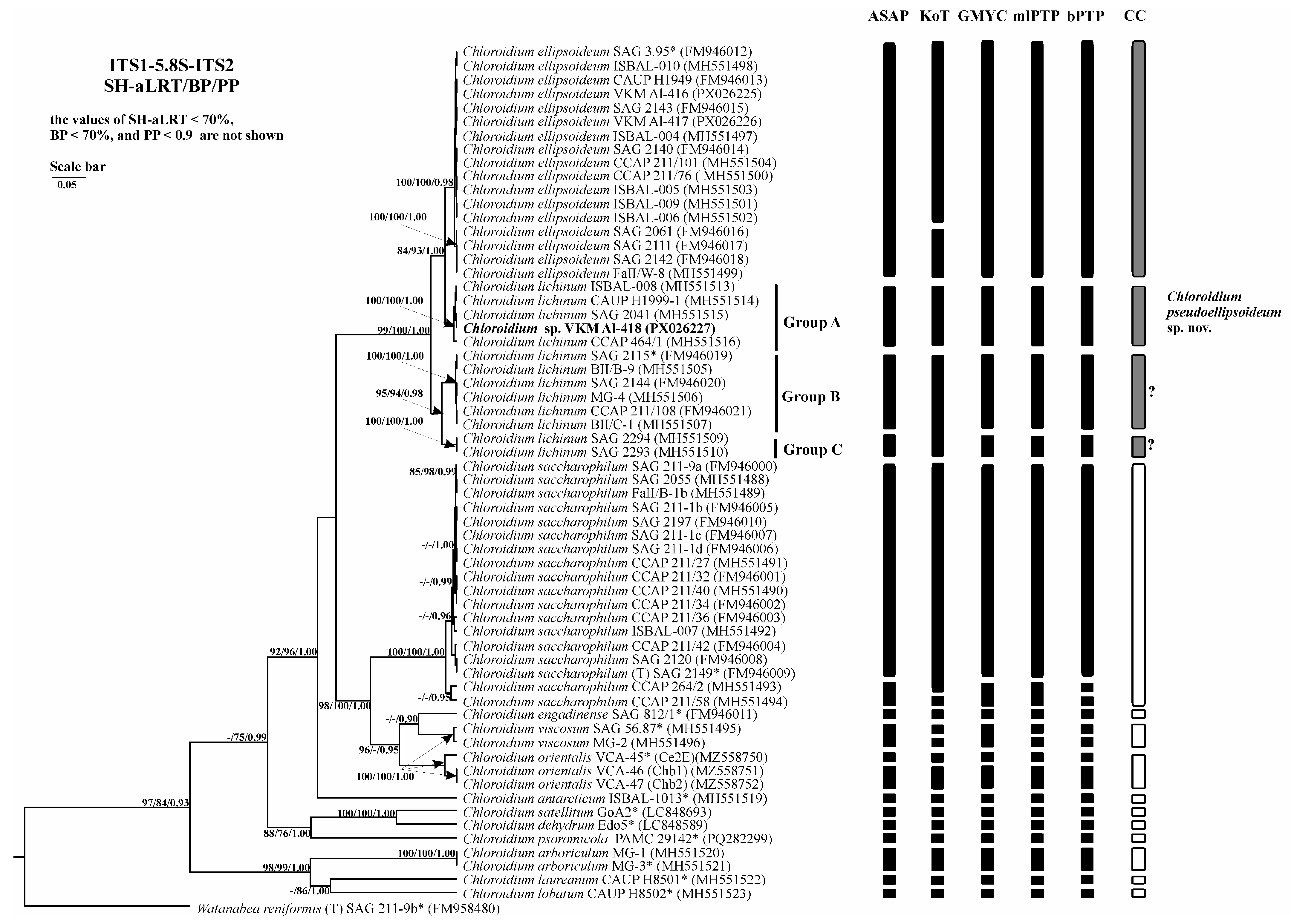 Plants 14 03739 g008