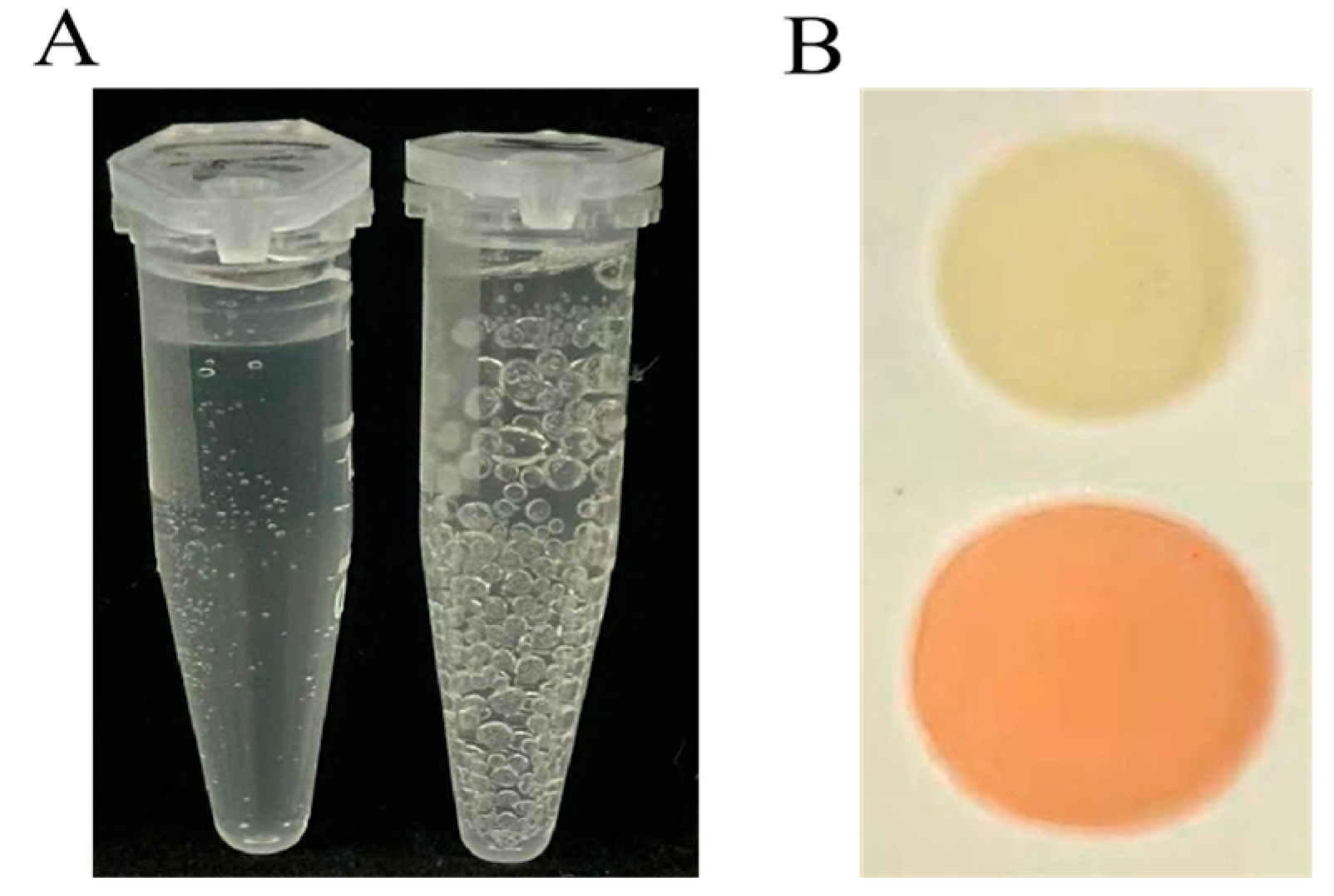 Plants 14 03742 g002 Plants 14 03742 g002