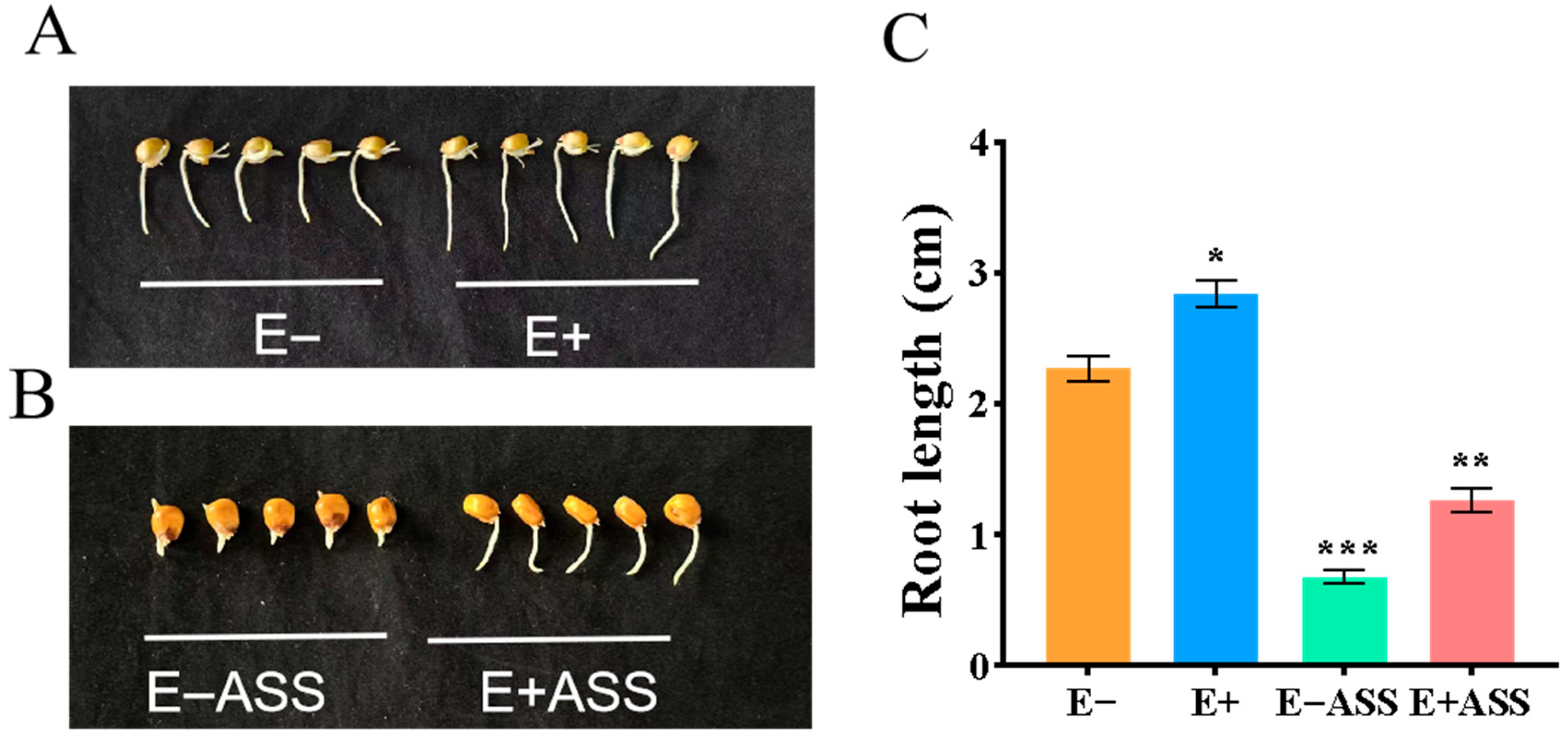 Plants 14 03742 g006 Plants 14 03742 g006