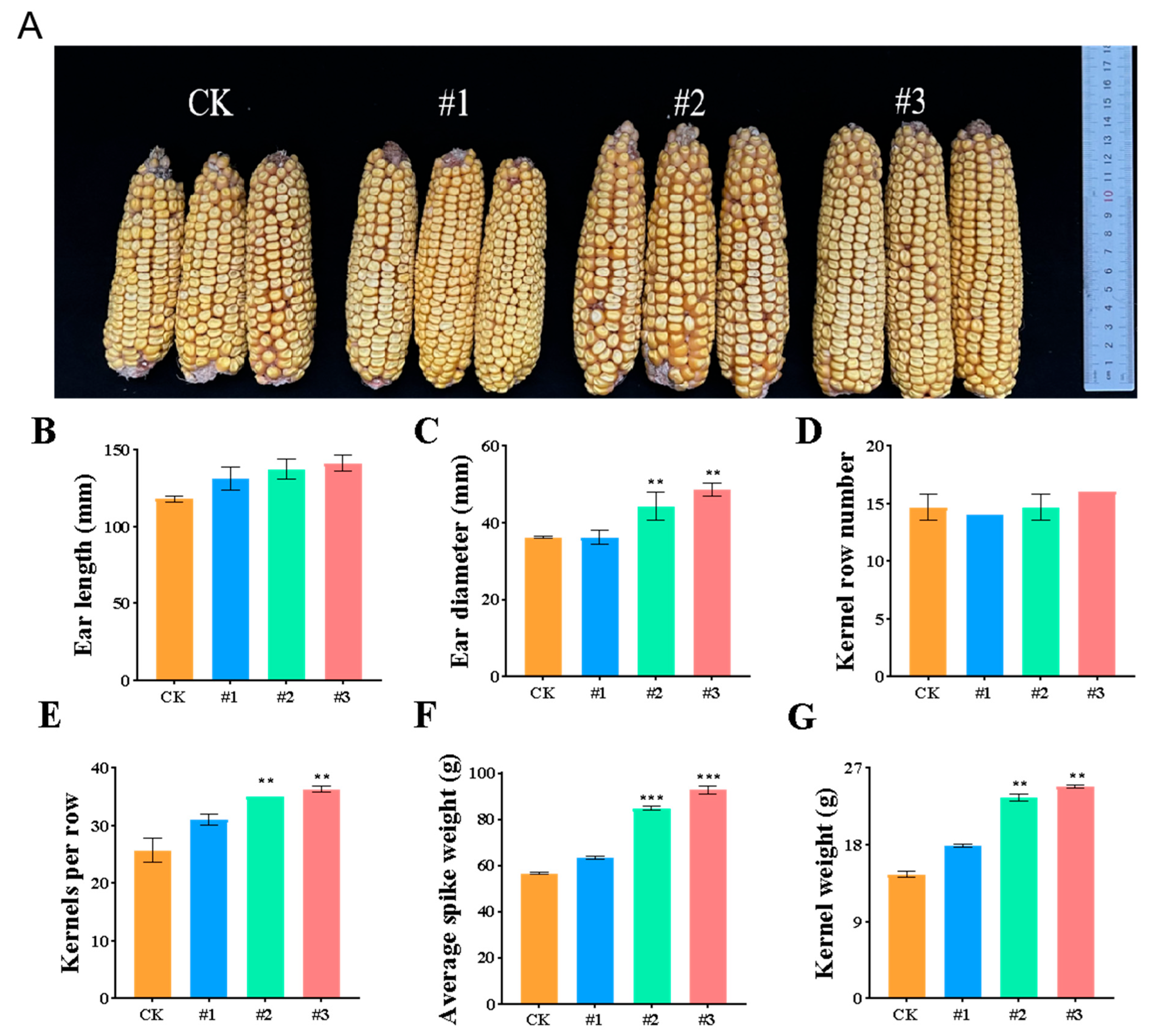 Plants 14 03742 g011 Plants 14 03742 g011