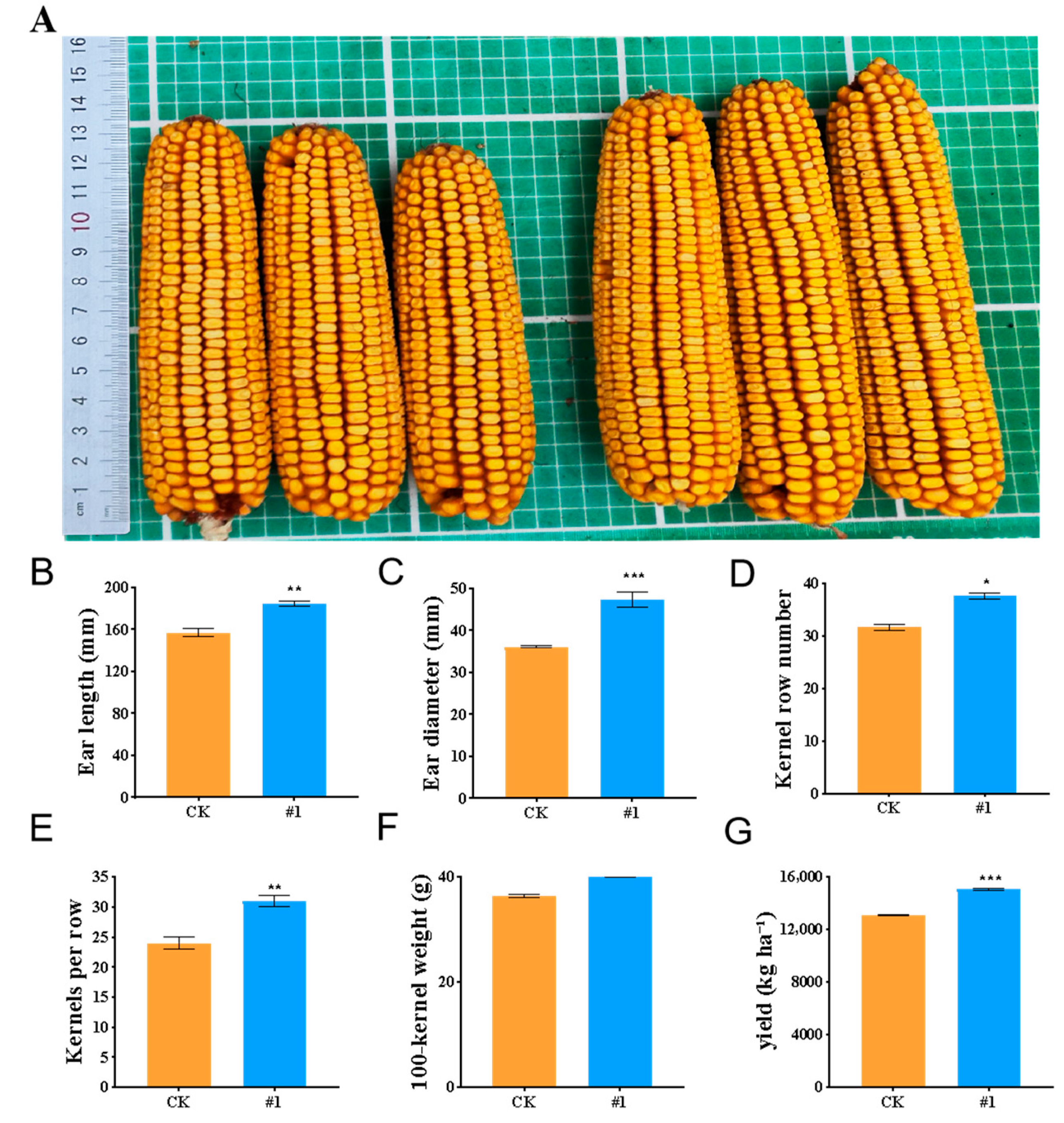 Plants 14 03742 g012 Plants 14 03742 g012