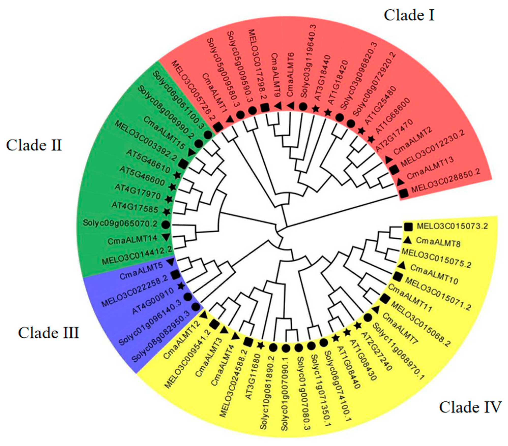 Plants 14 03745 g001 Plants 14 03745 g001