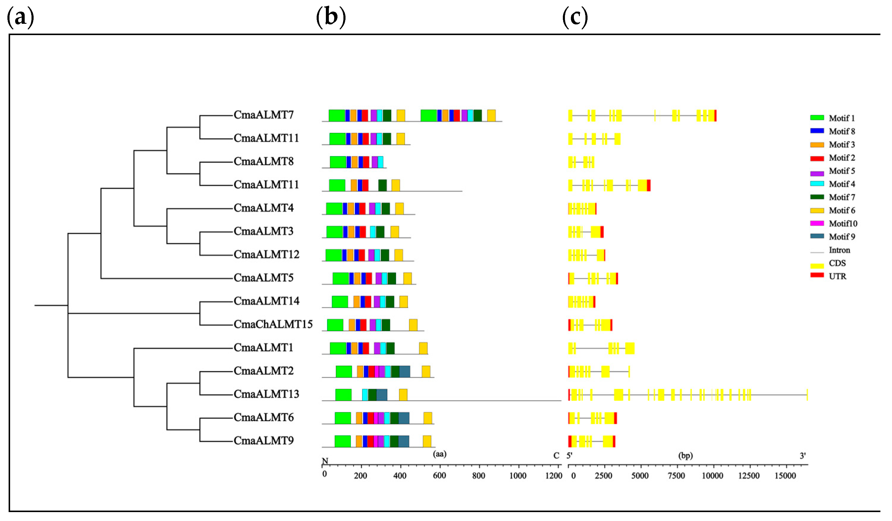 Plants 14 03745 g002 Plants 14 03745 g002