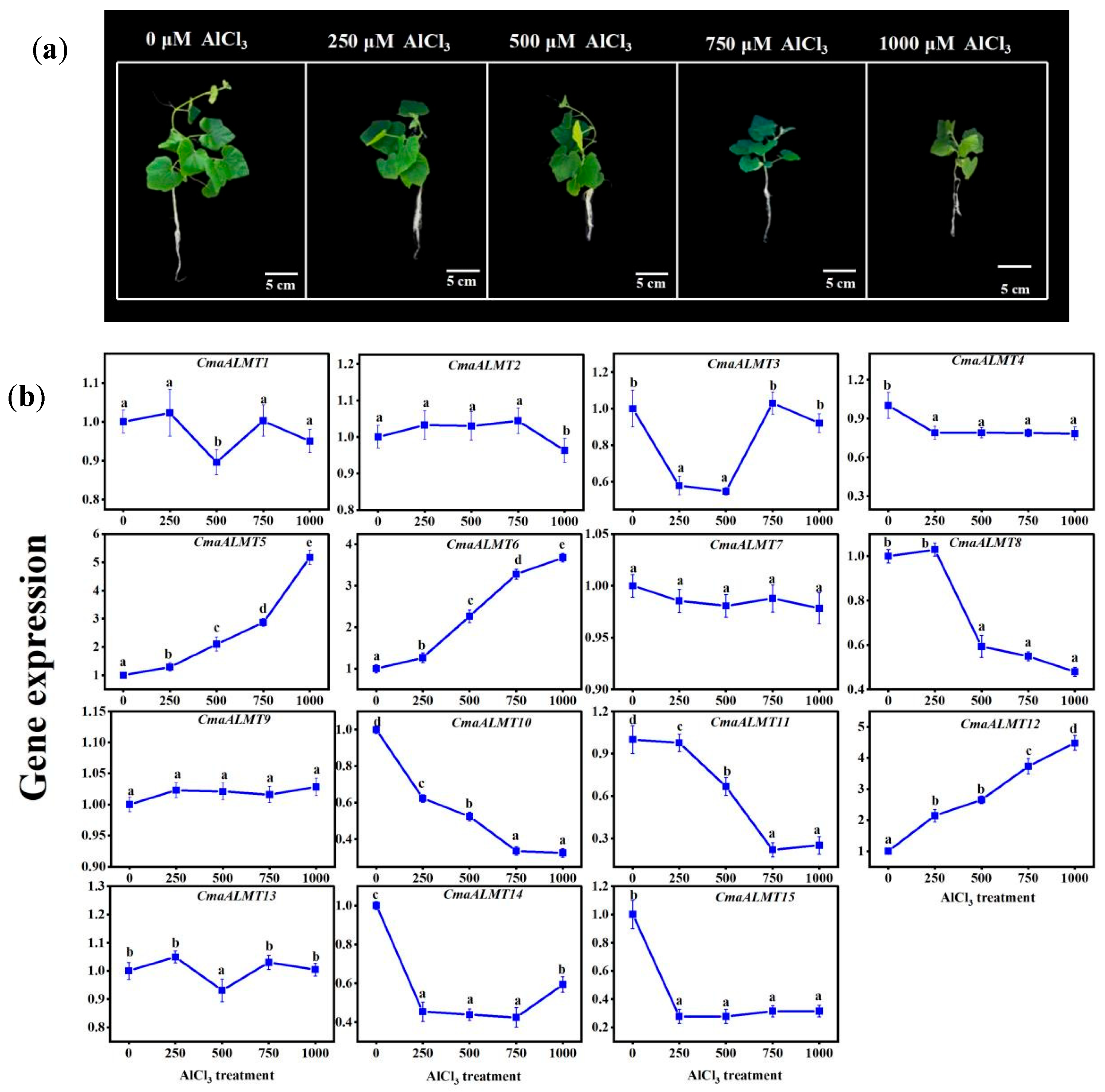 Plants 14 03745 g004 Plants 14 03745 g004