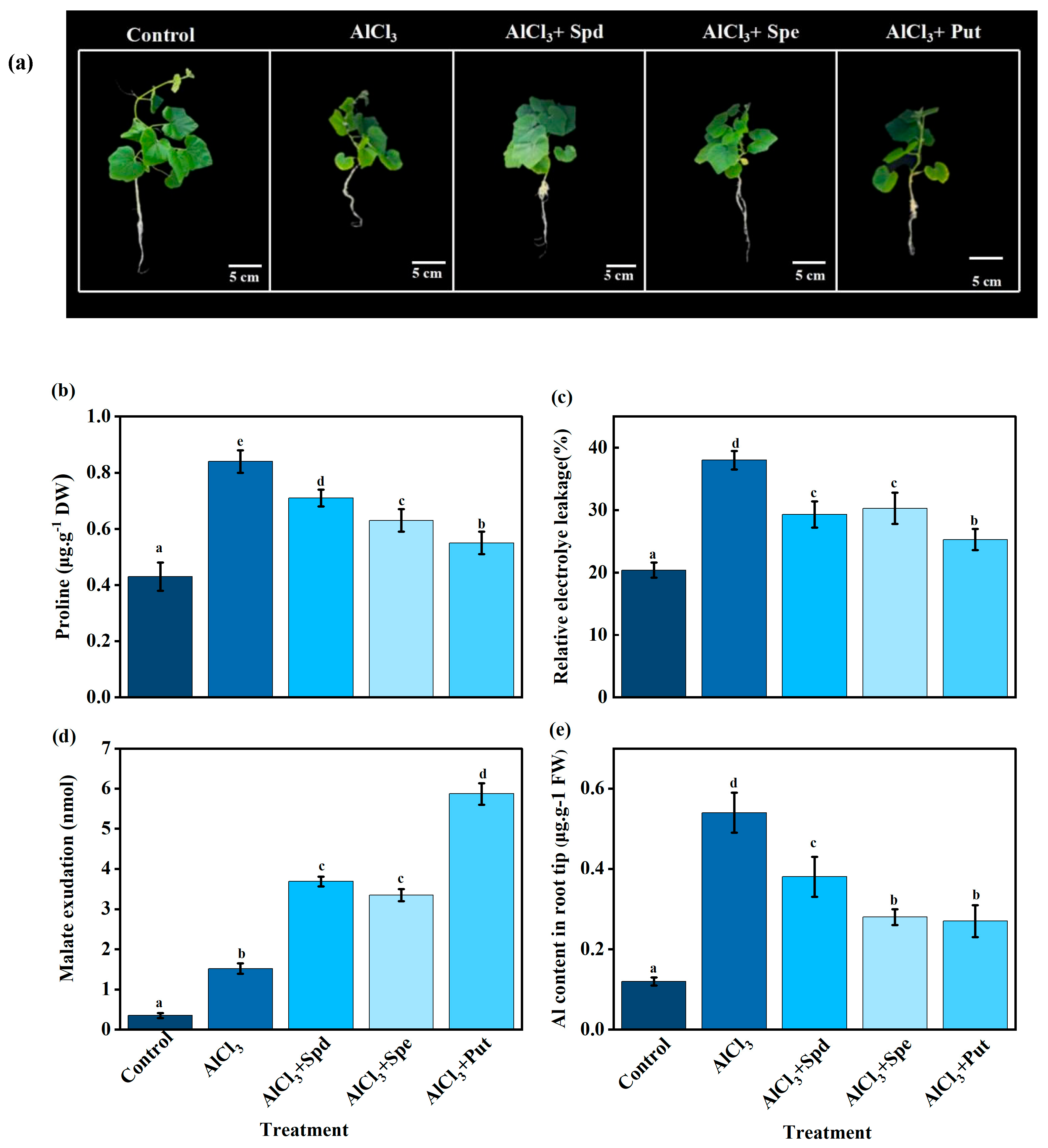 Plants 14 03745 g005 Plants 14 03745 g005