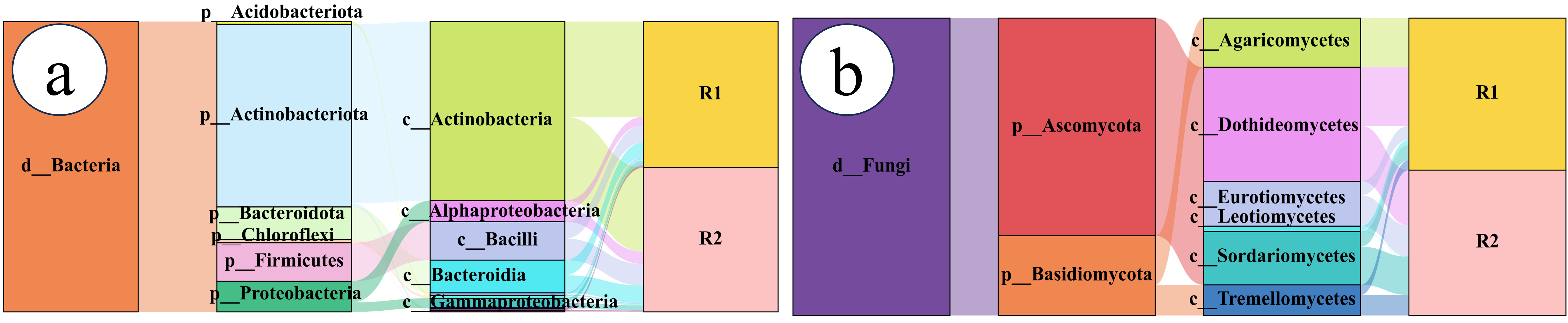 Plants 14 03747 g002