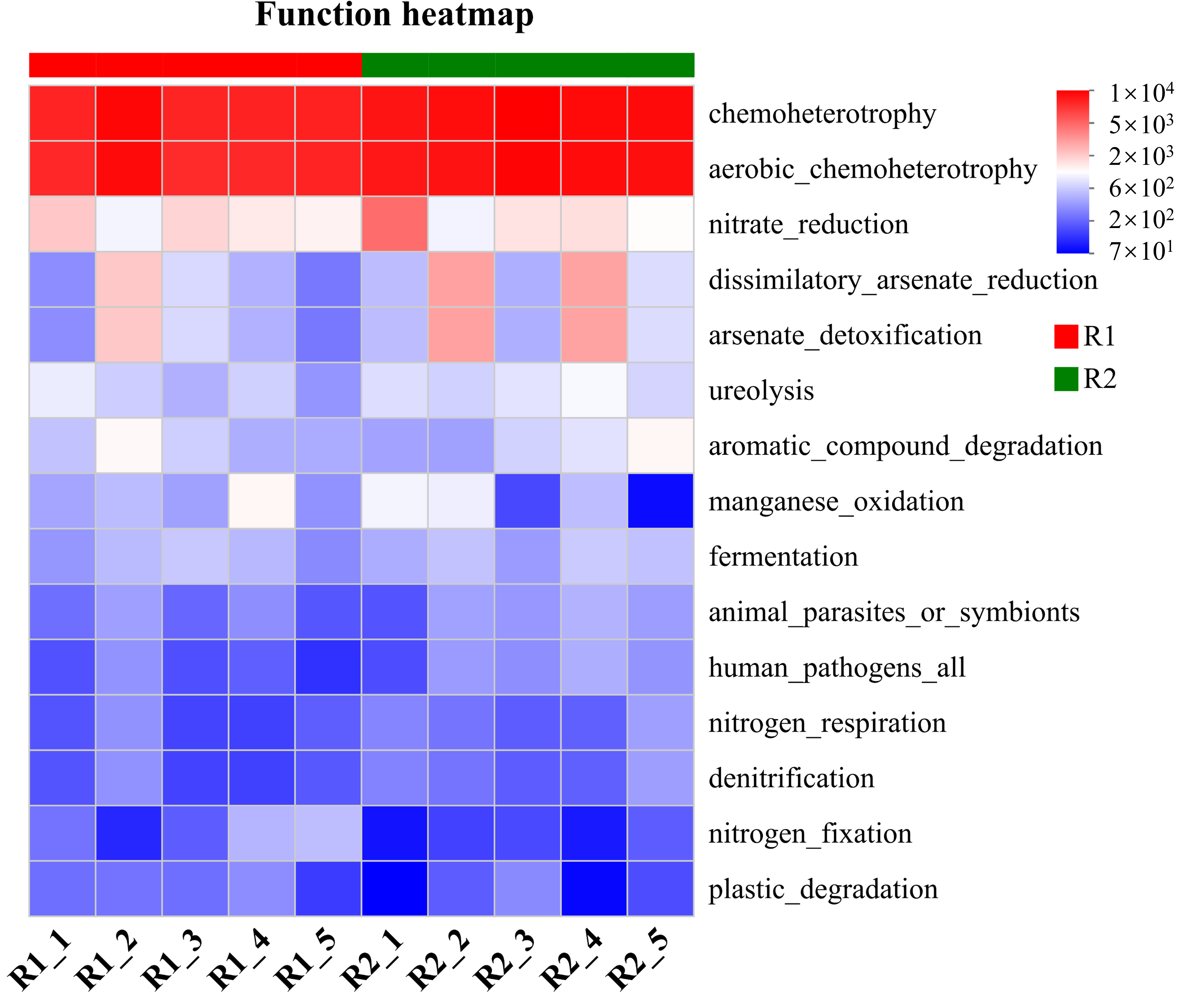 Plants 14 03747 g007