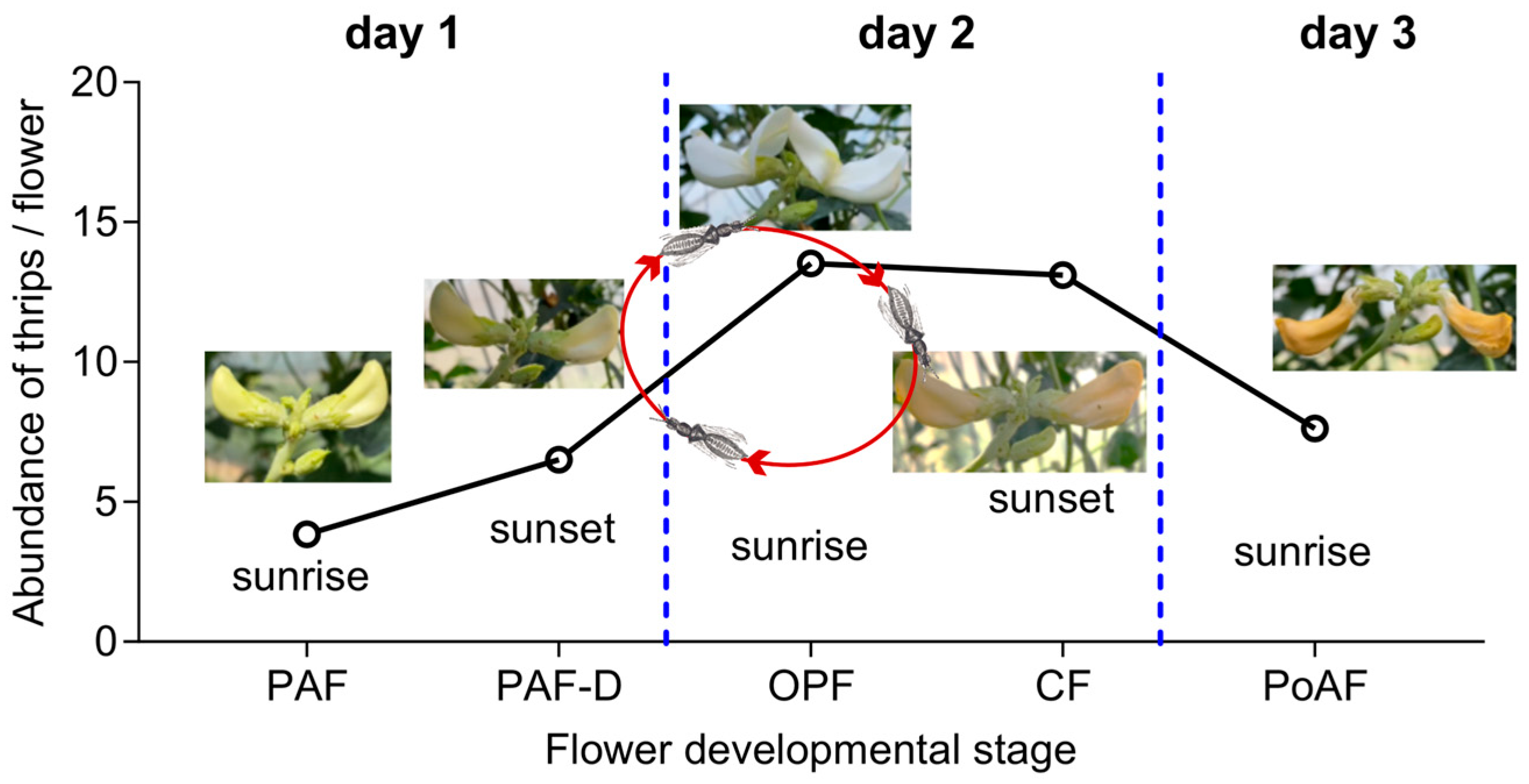 Plants 14 03753 g006 Plants 14 03753 g006