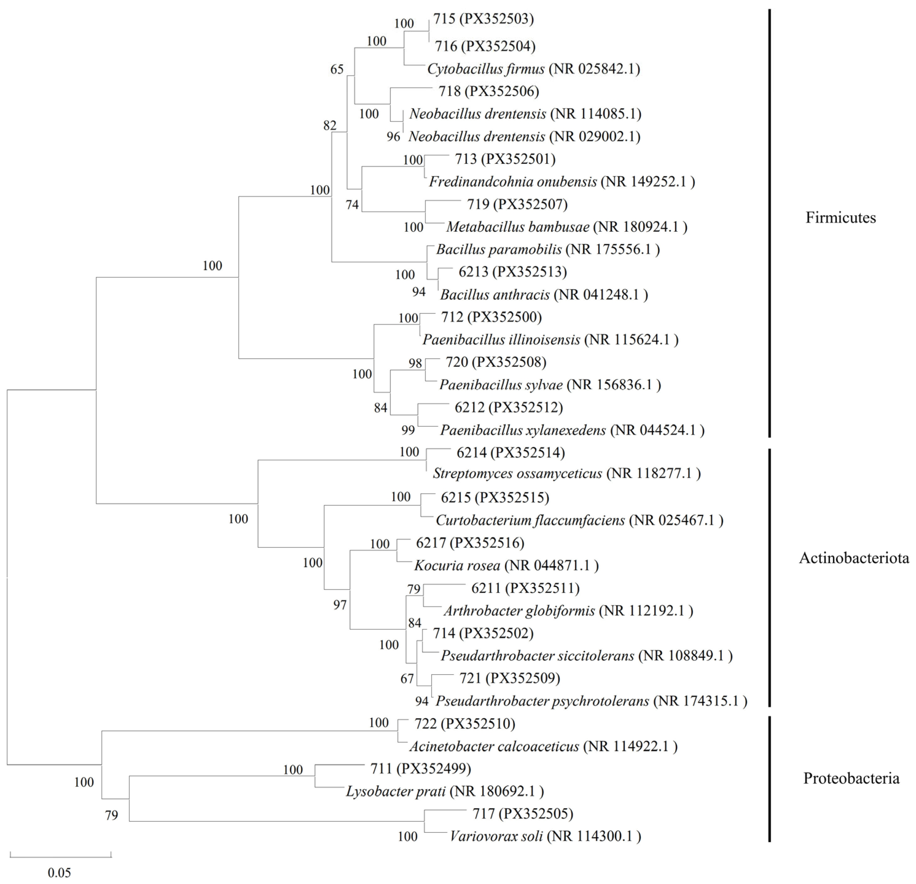 Plants 14 03758 g001 Plants 14 03758 g001