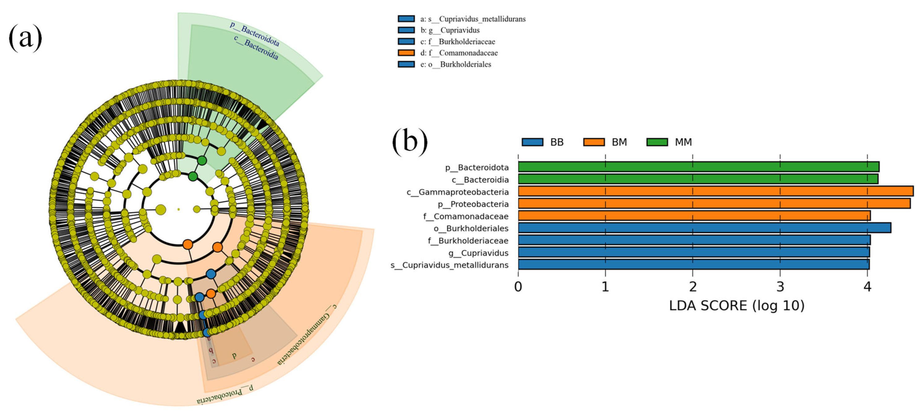 Plants 14 03758 g009 Plants 14 03758 g009