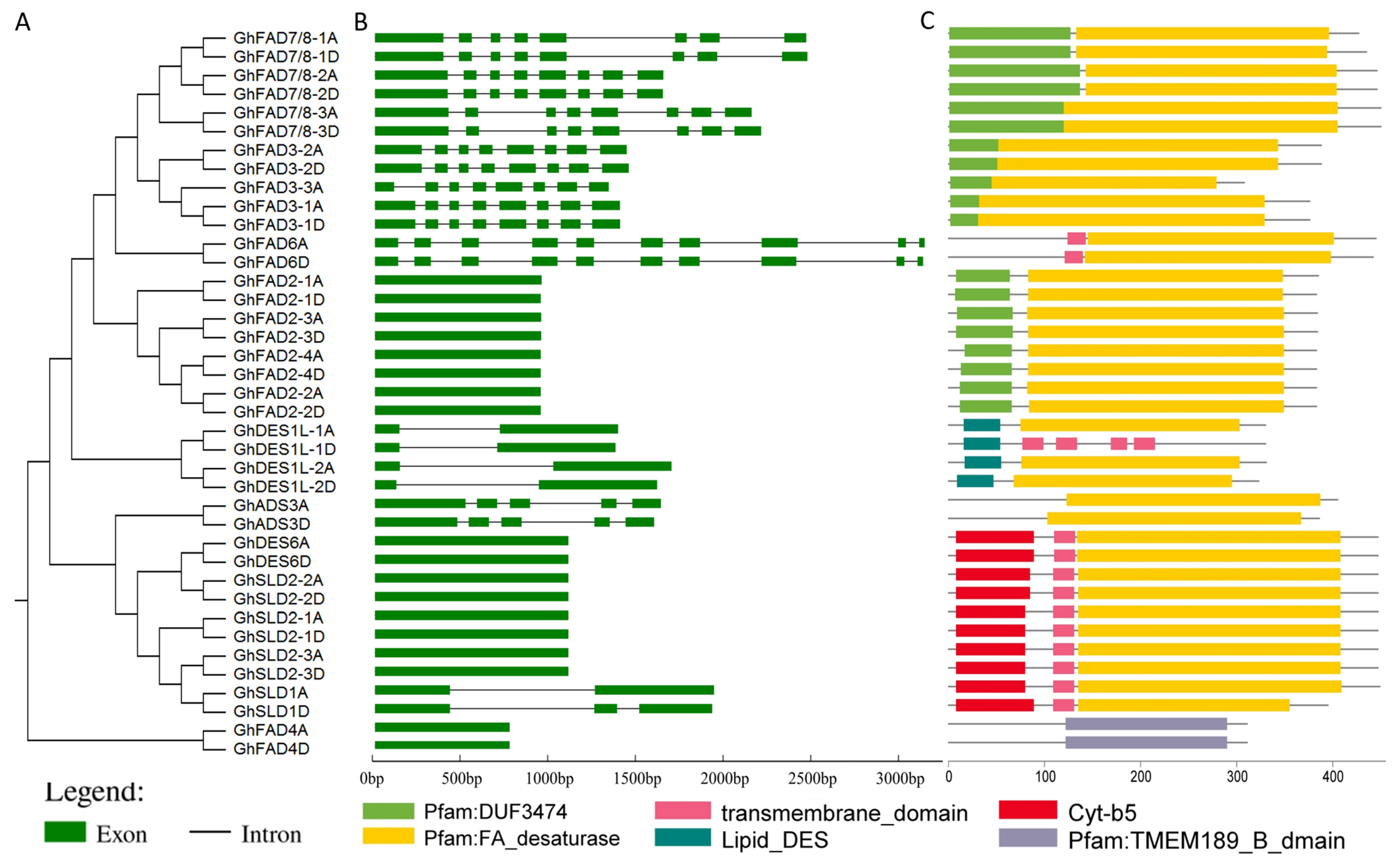 Plants 14 03767 g002 Plants 14 03767 g002