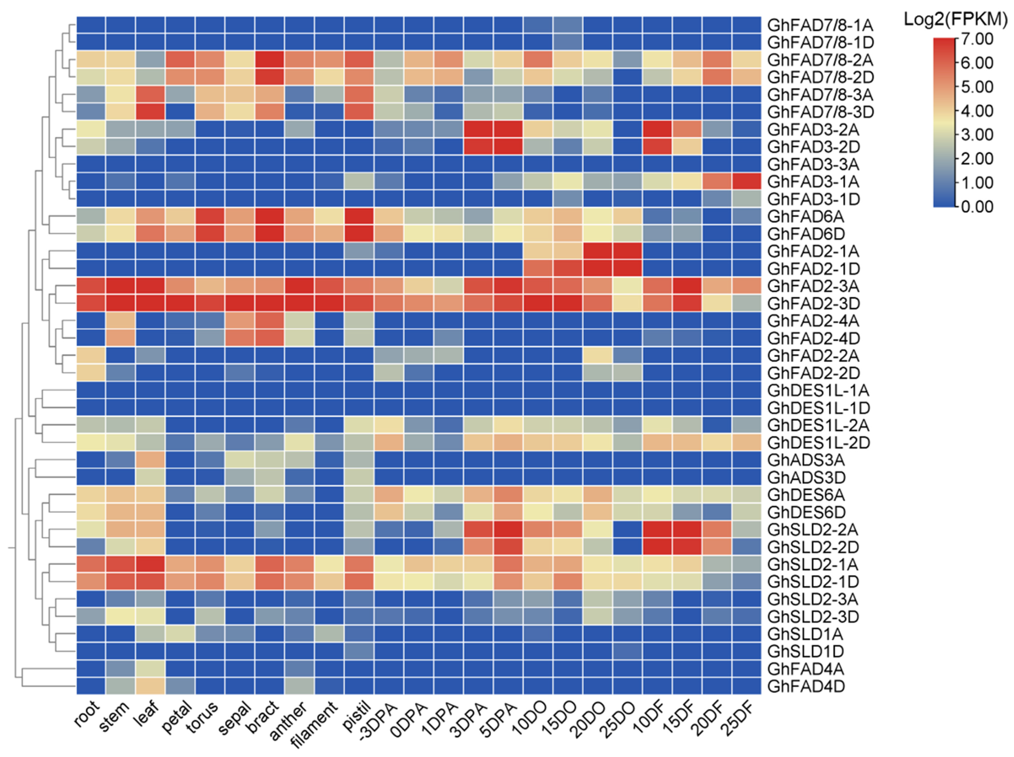 Plants 14 03767 g006 Plants 14 03767 g006